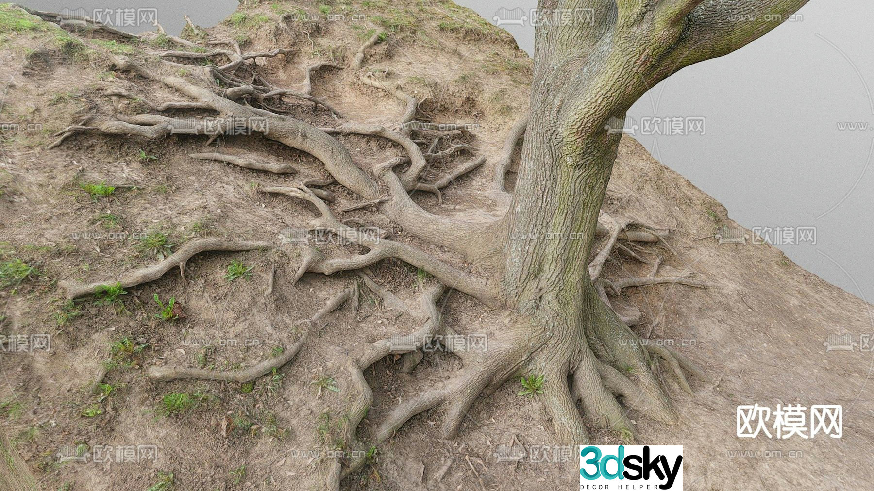 tree roots tree 3d model