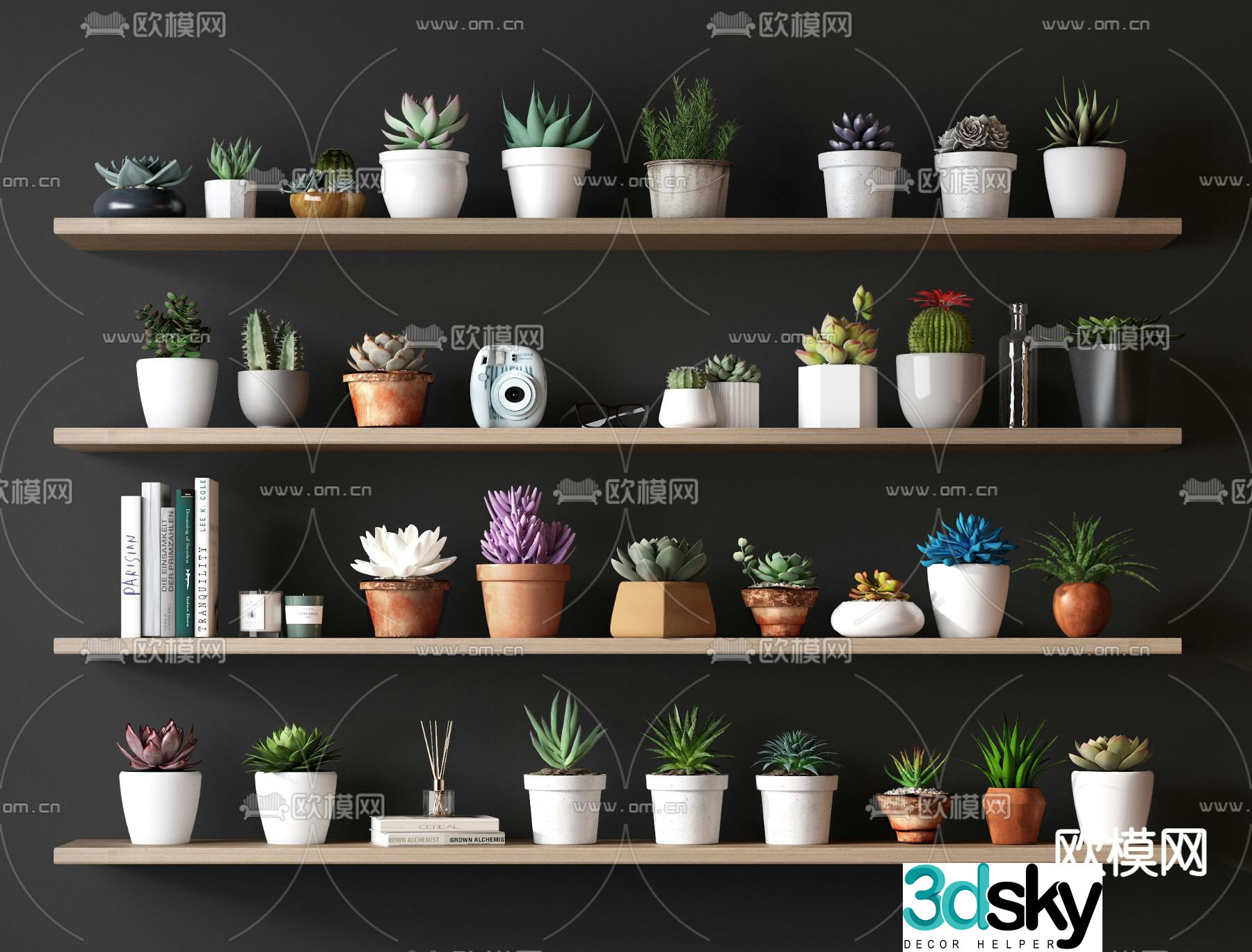 Succulent potted plant 3d model