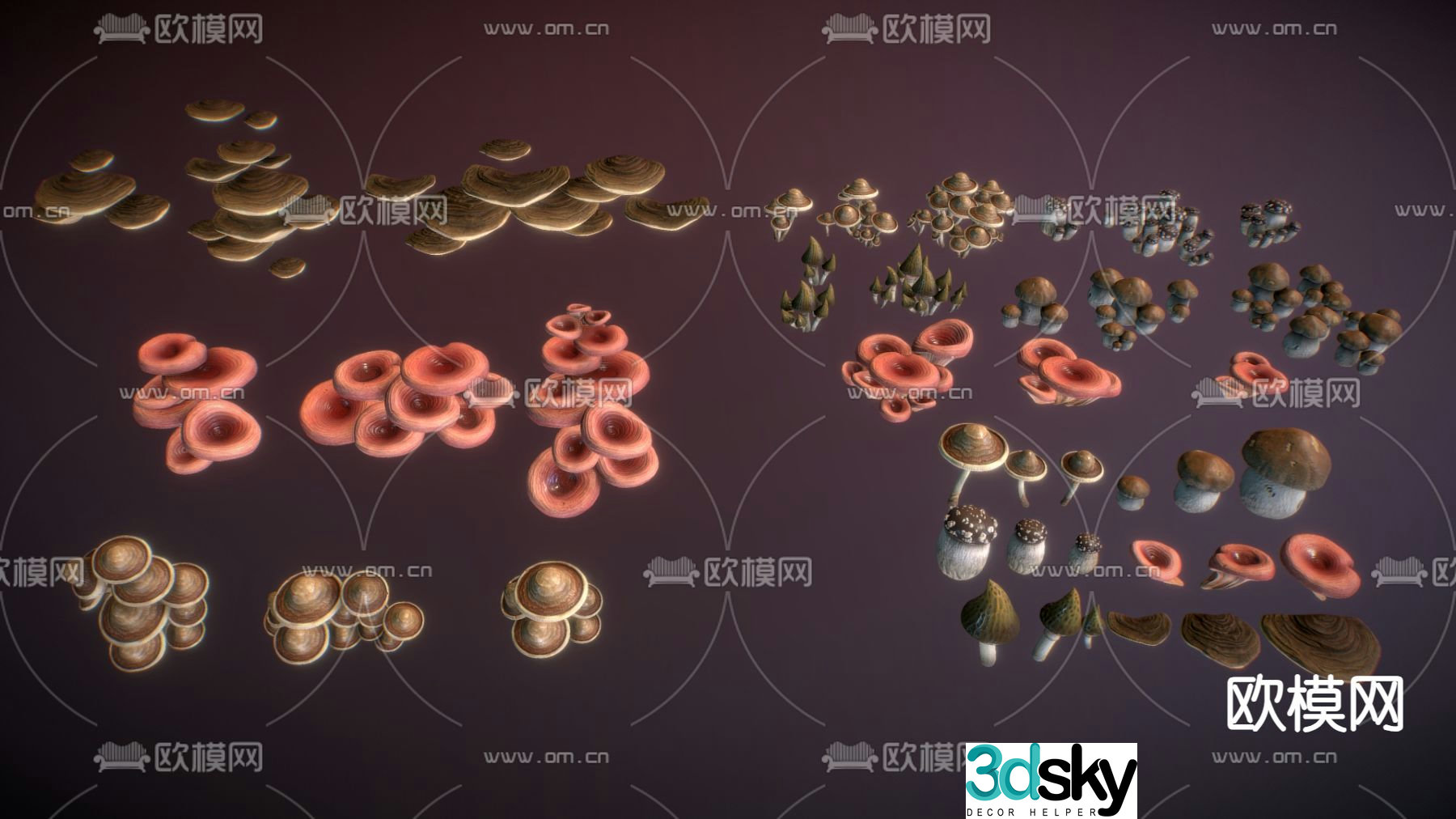 wild mushroom crops mushroom 3d model