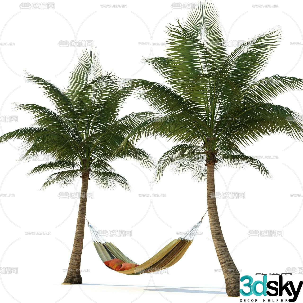 Tropical plant Coconut tree 3d model