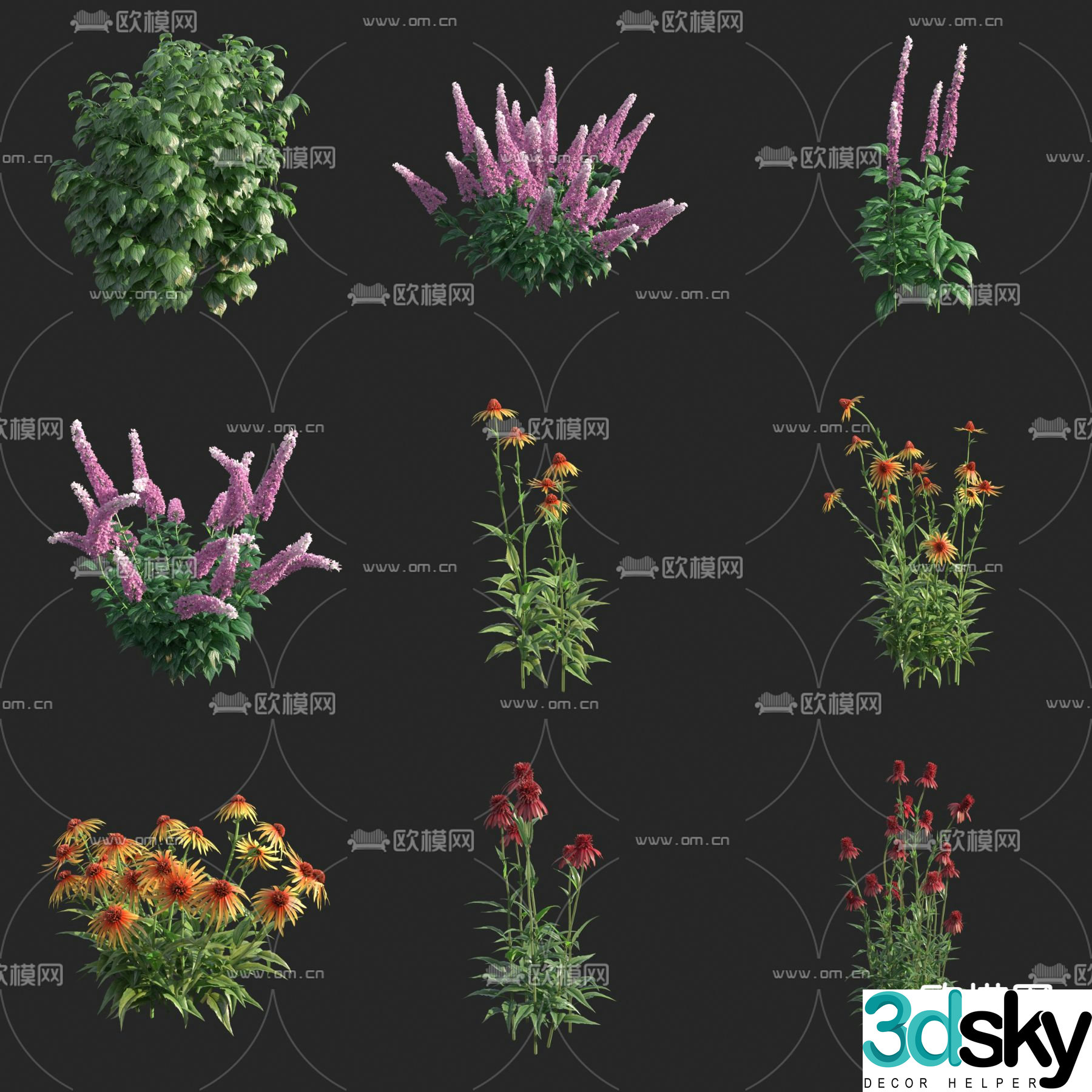 Flowers shrubs weeds mixed flowers 3d model