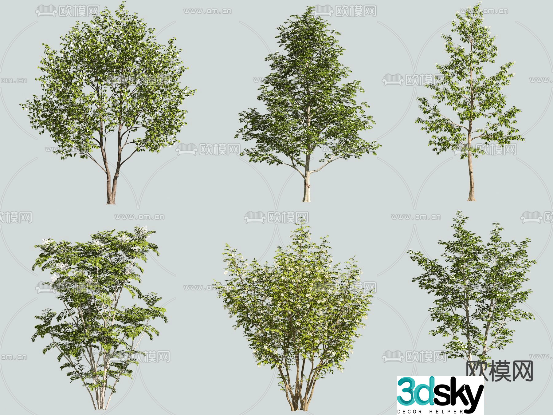 Big tree Landscape tree Street tree 3d model