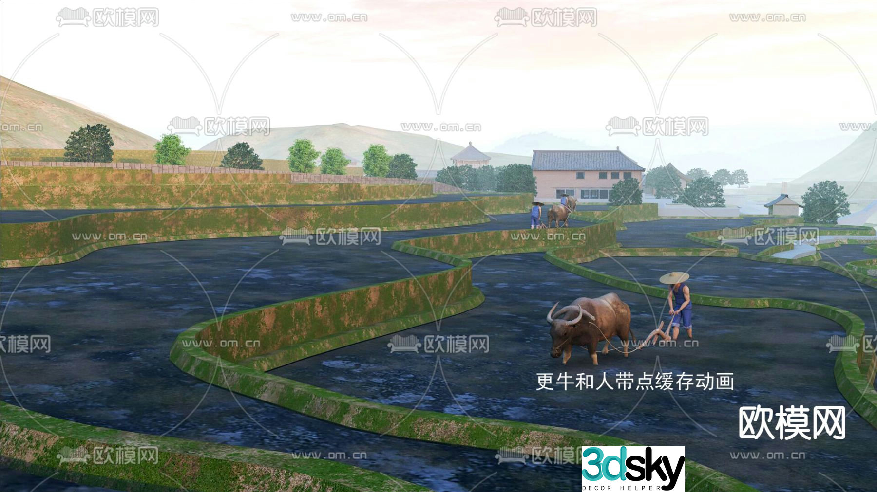 Paddy fields farmland cattle terraces 3d model