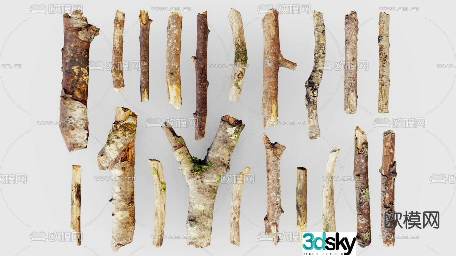 tree trunk dead branch dead wood 3d model