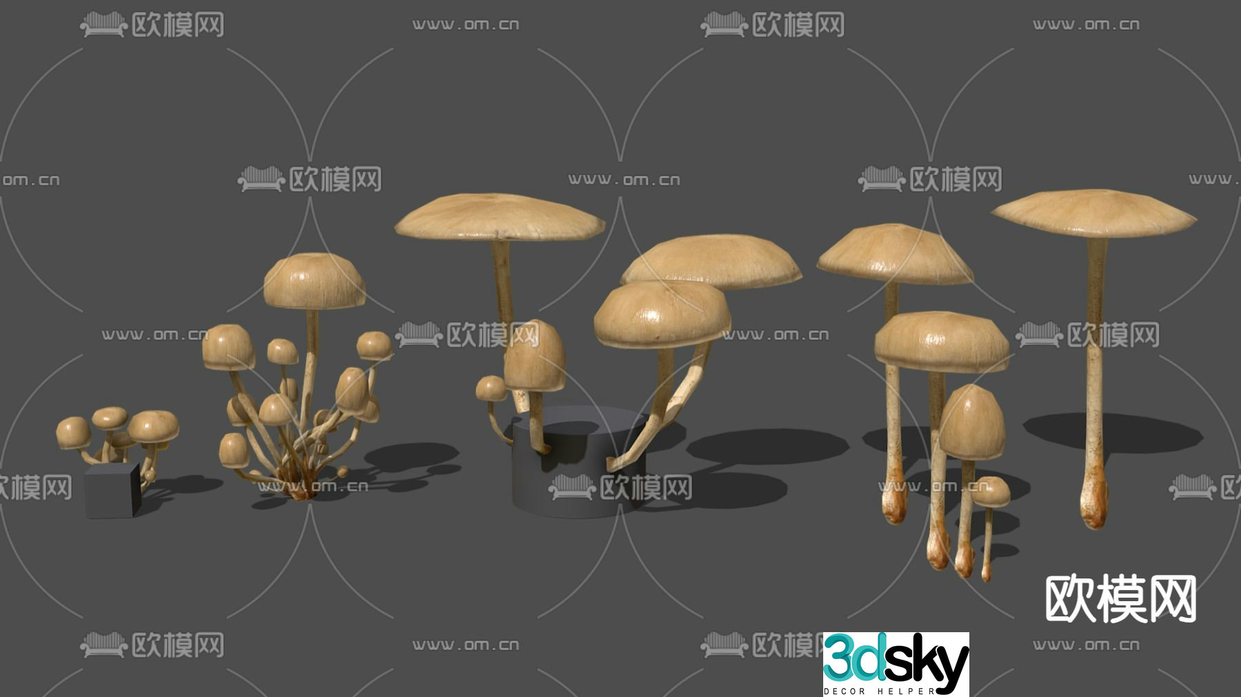 Mushroom edible mushroom 3d model