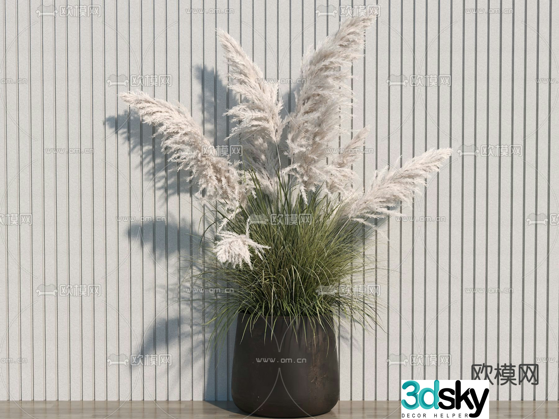 Potted plant pampas 3d model