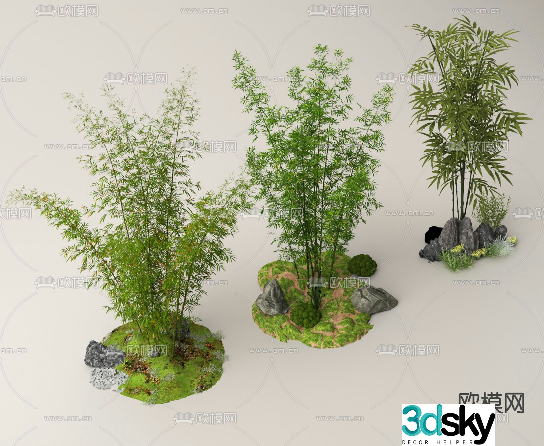 Bamboo Bamboo Forest Landscape Bamboo Plant 3D Model