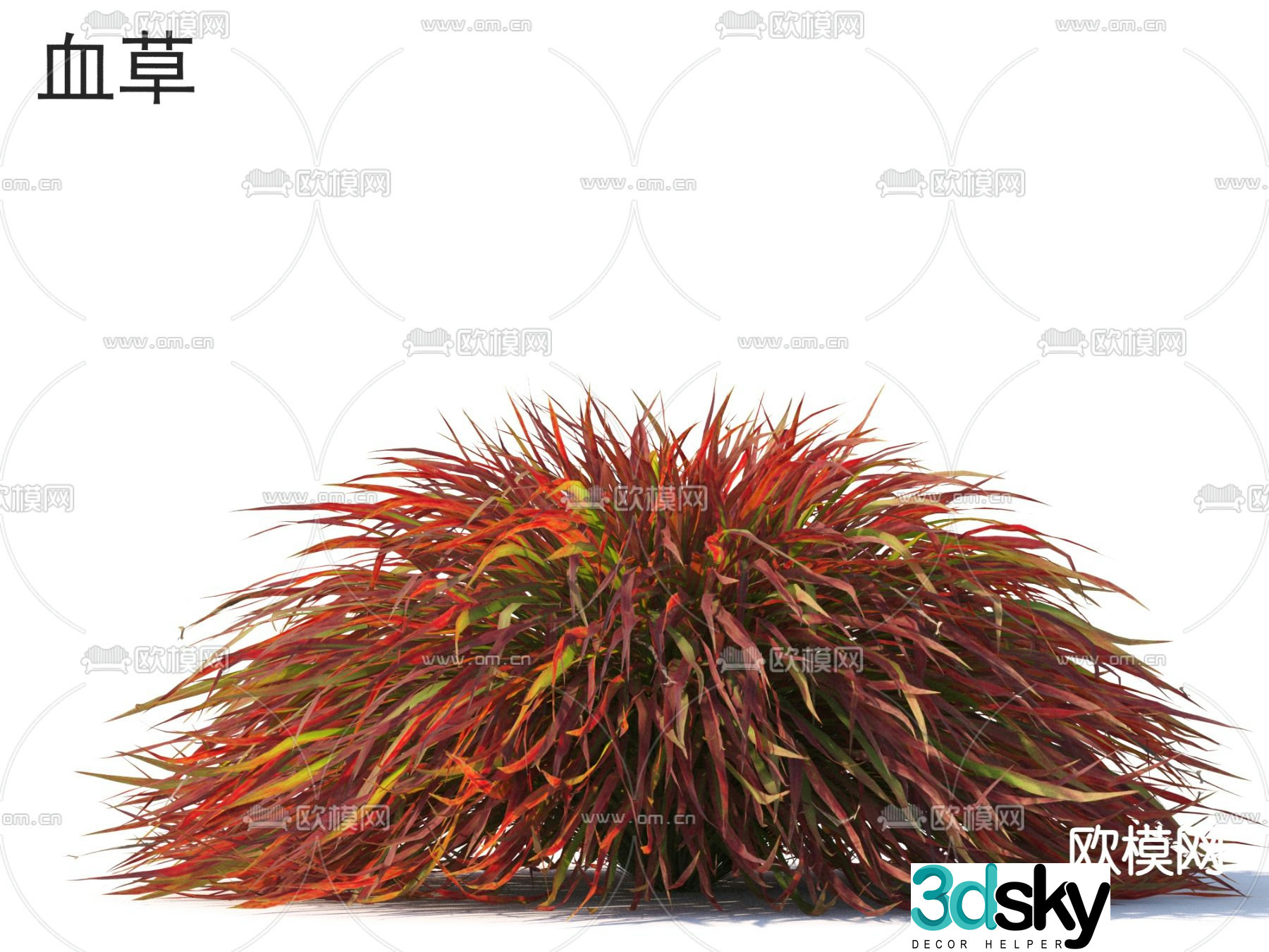 Shrub Blood thatch 3d model