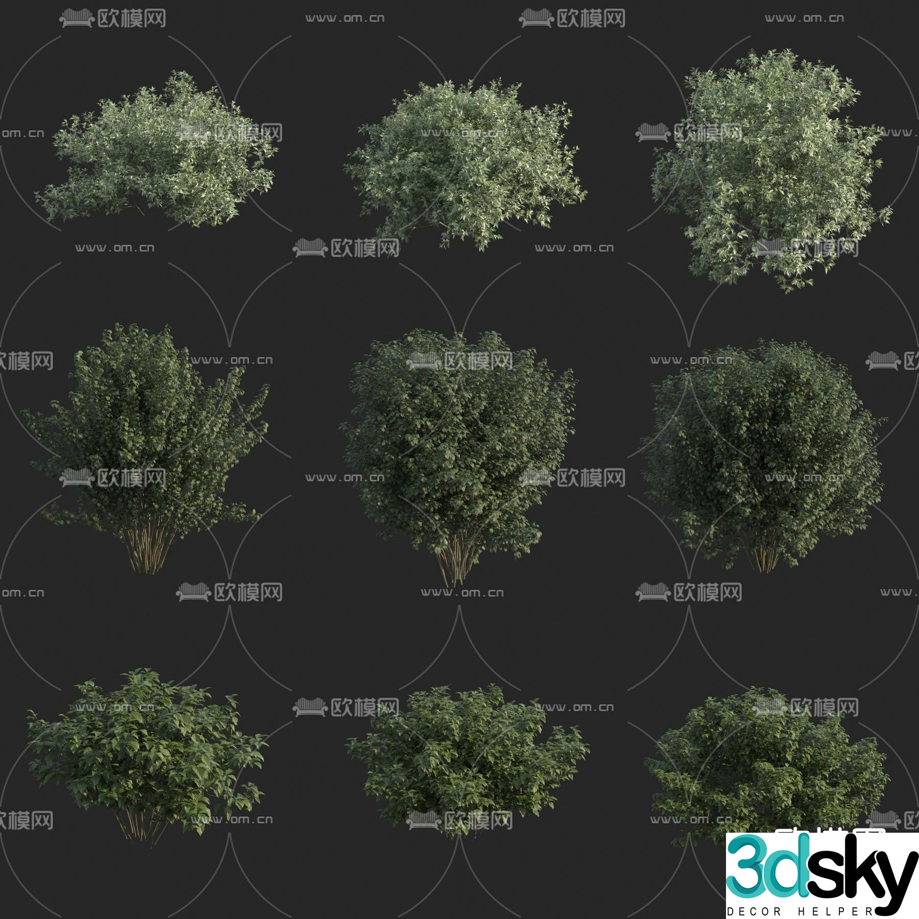 shrub green plant plant 3d model