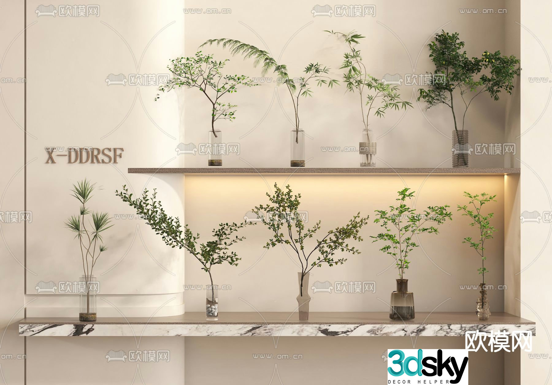 Aquatic plants hydroponic green plants 3d model