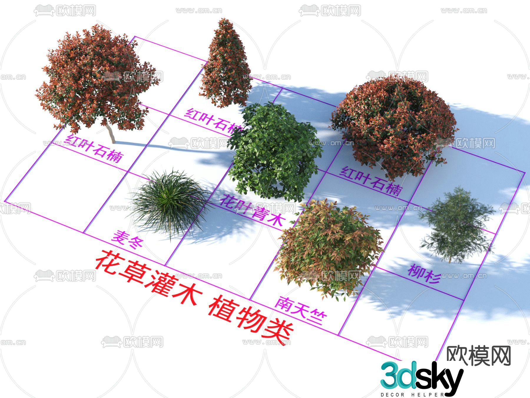 Red leaf heather flower leaves green wood shrub flowers and plants 3D model