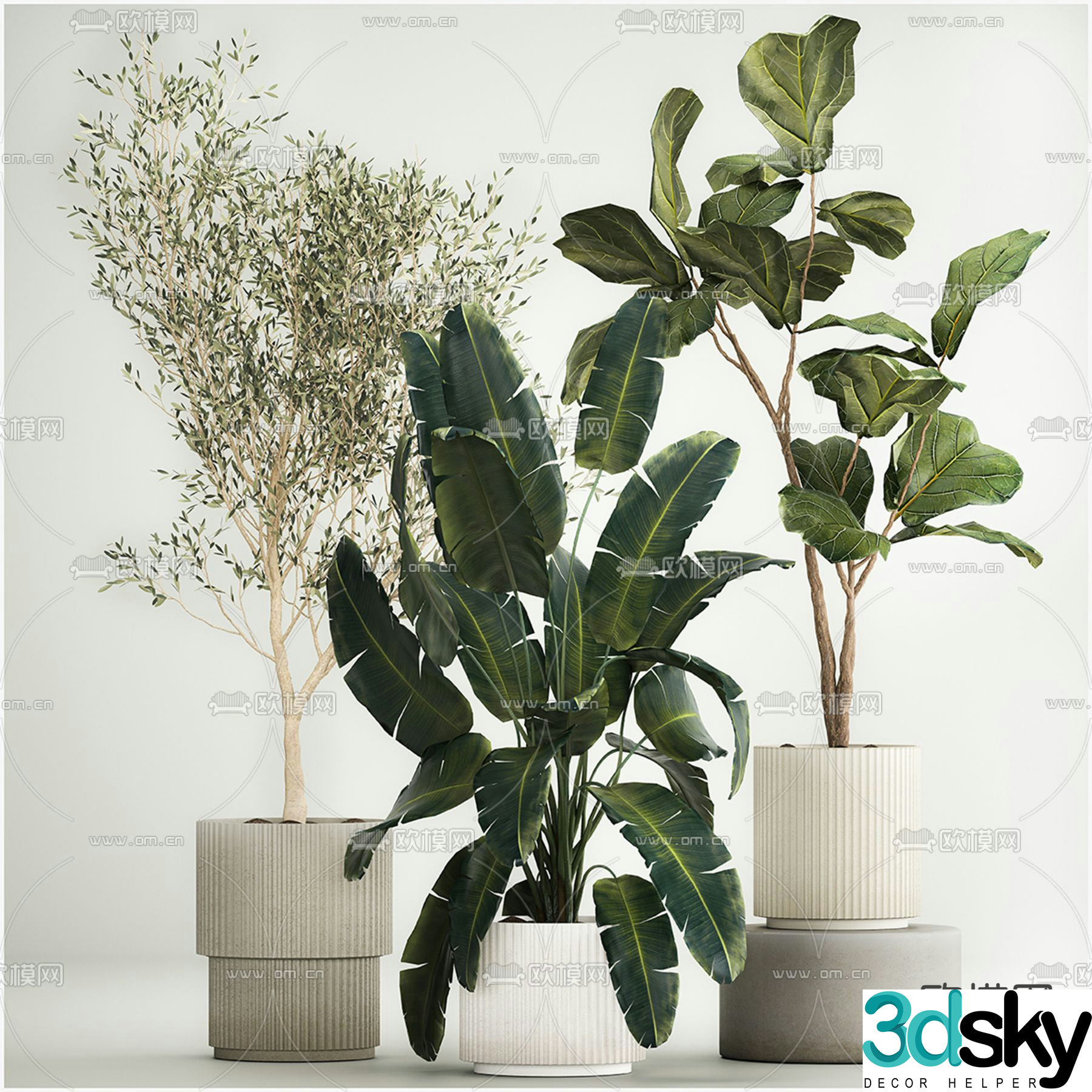 Green plants Potted plants Turtle back leaves Banana leaves 3D model