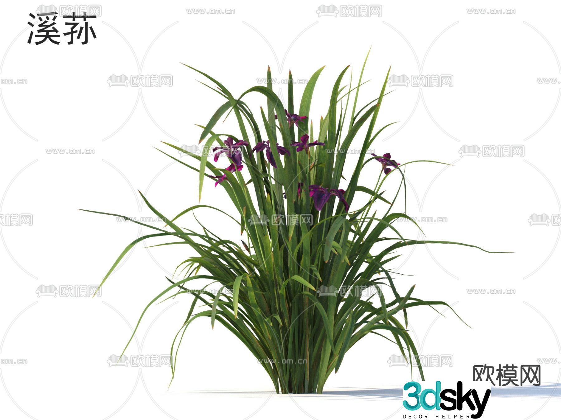 Xisun flowers and shrubs plant 3d model