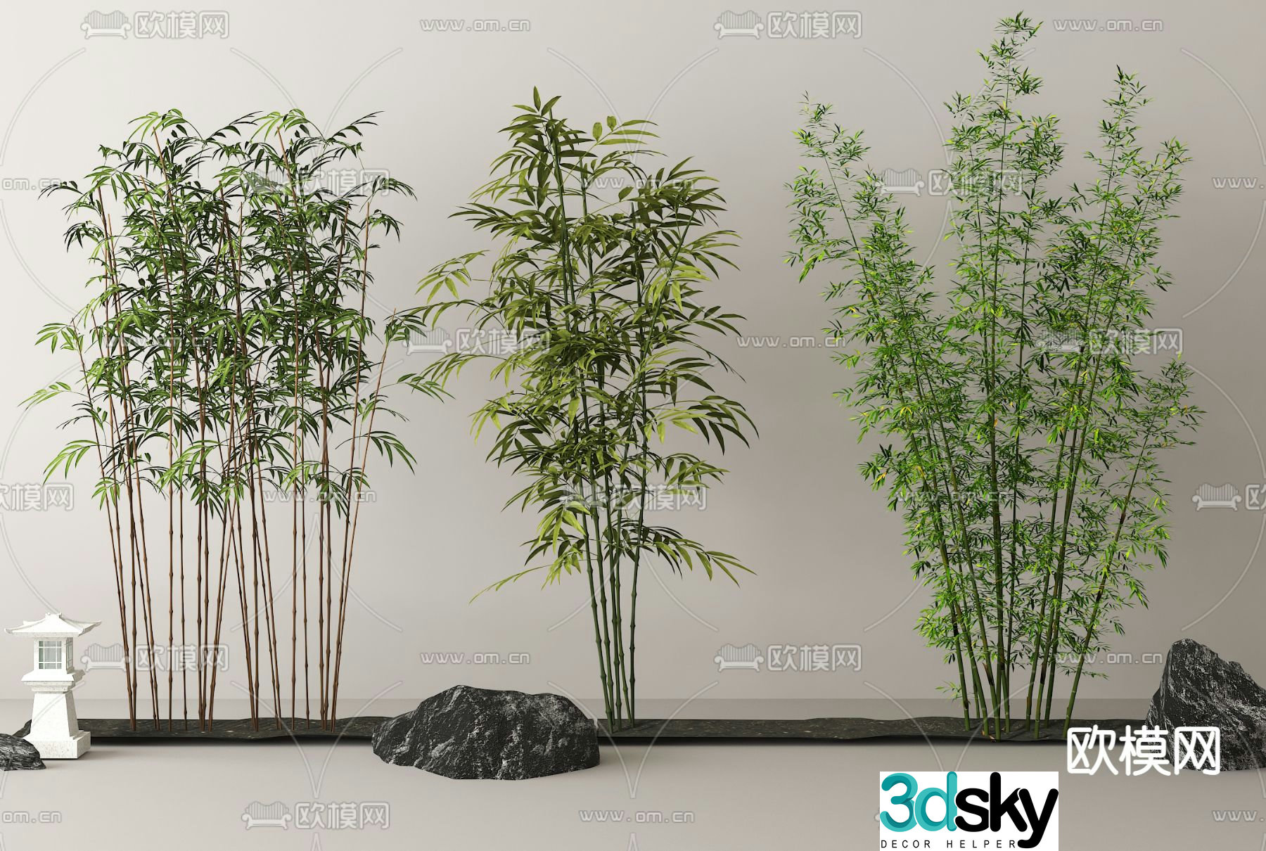 Bamboo Bamboo Forest Landscape Bamboo Plant 3D Model