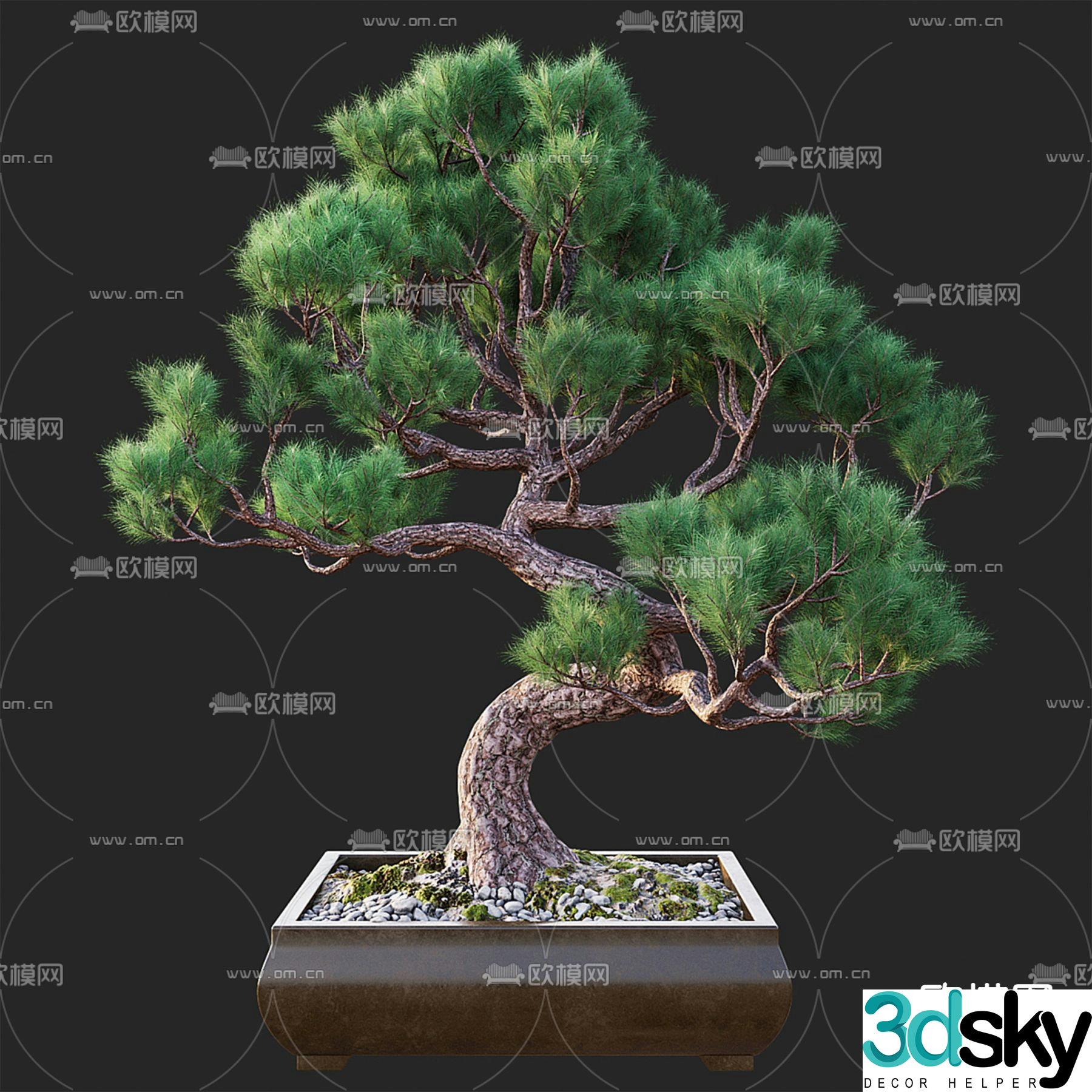 Bonsai Plant Decoration 3D Model