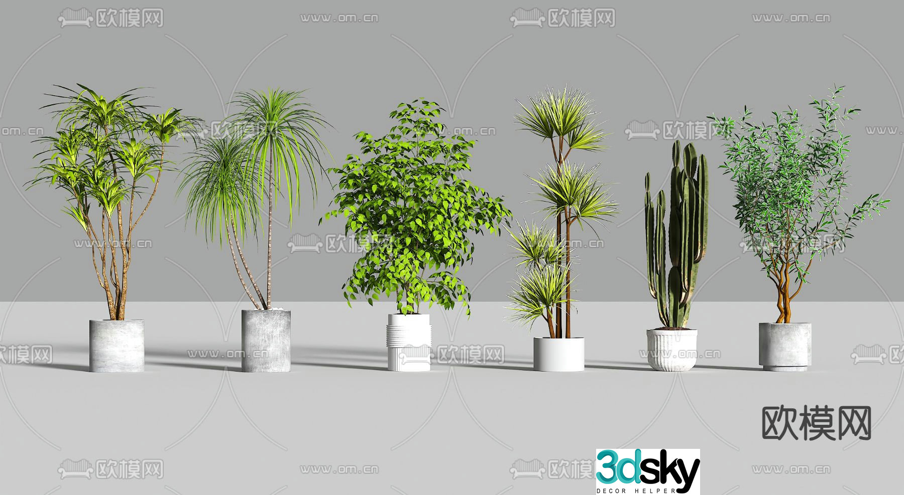 Modern potted plants Cactus 3d model