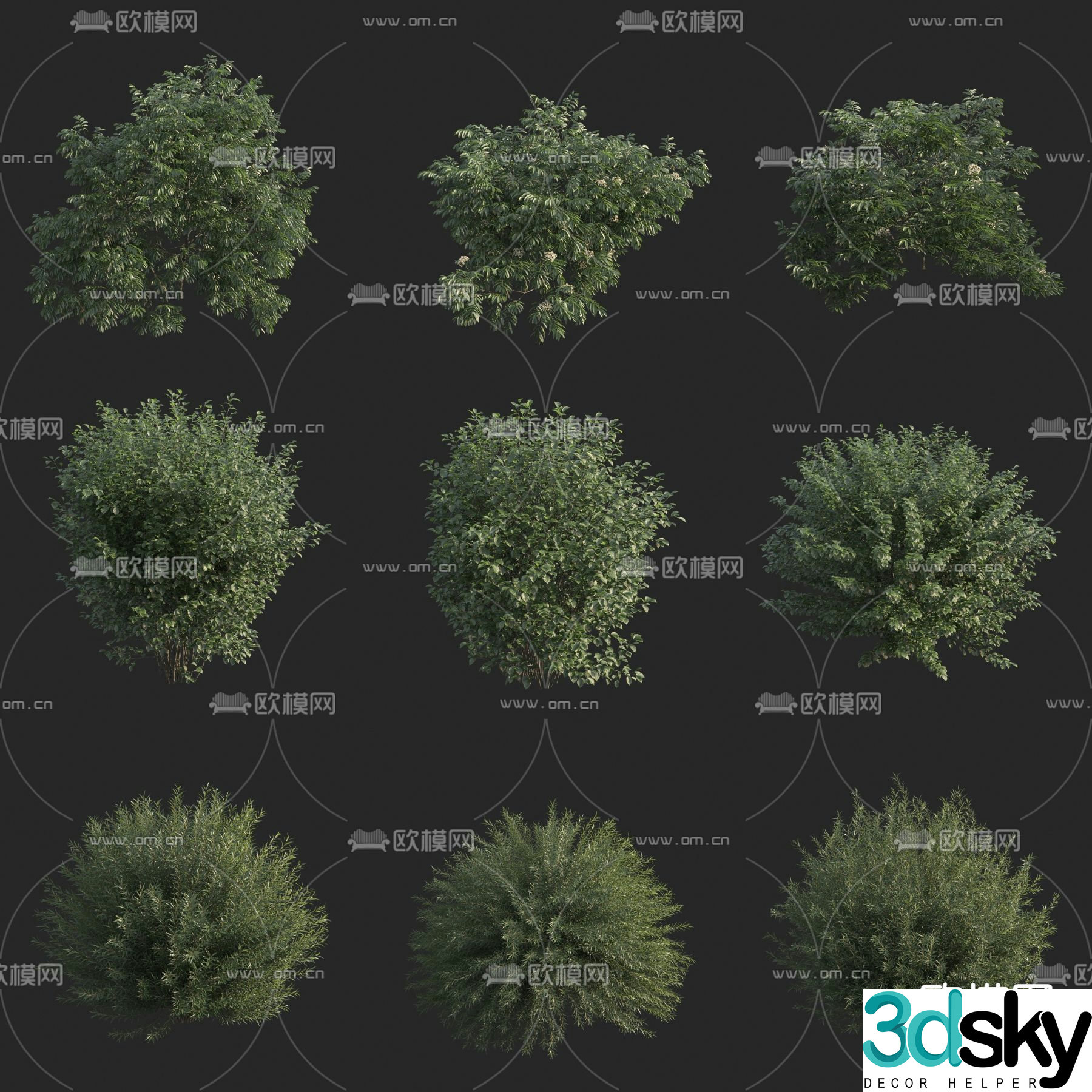 Shrub Green Plant Plant 3D Model