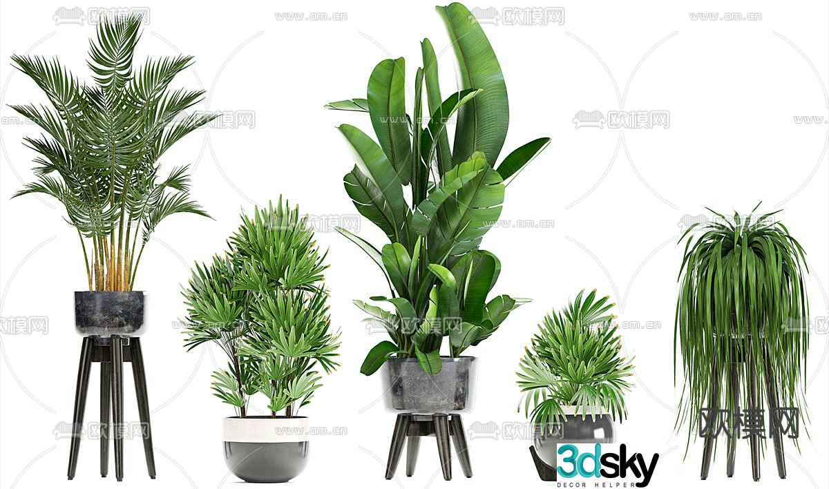 Potted Plant Flower Pot 3D Model