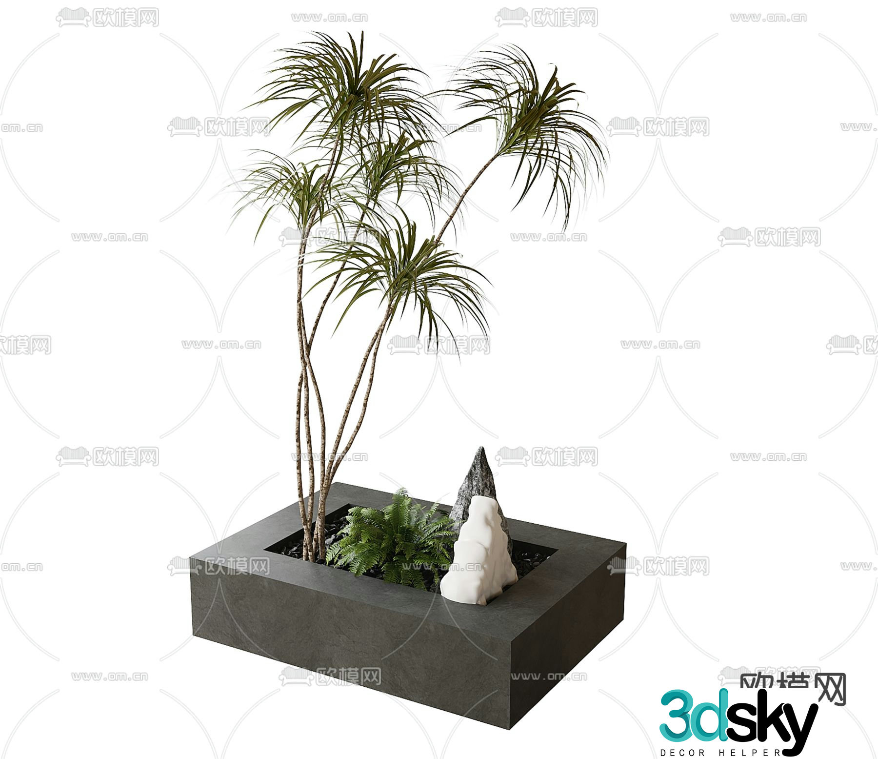 Fern flower bed potted plant 3d model