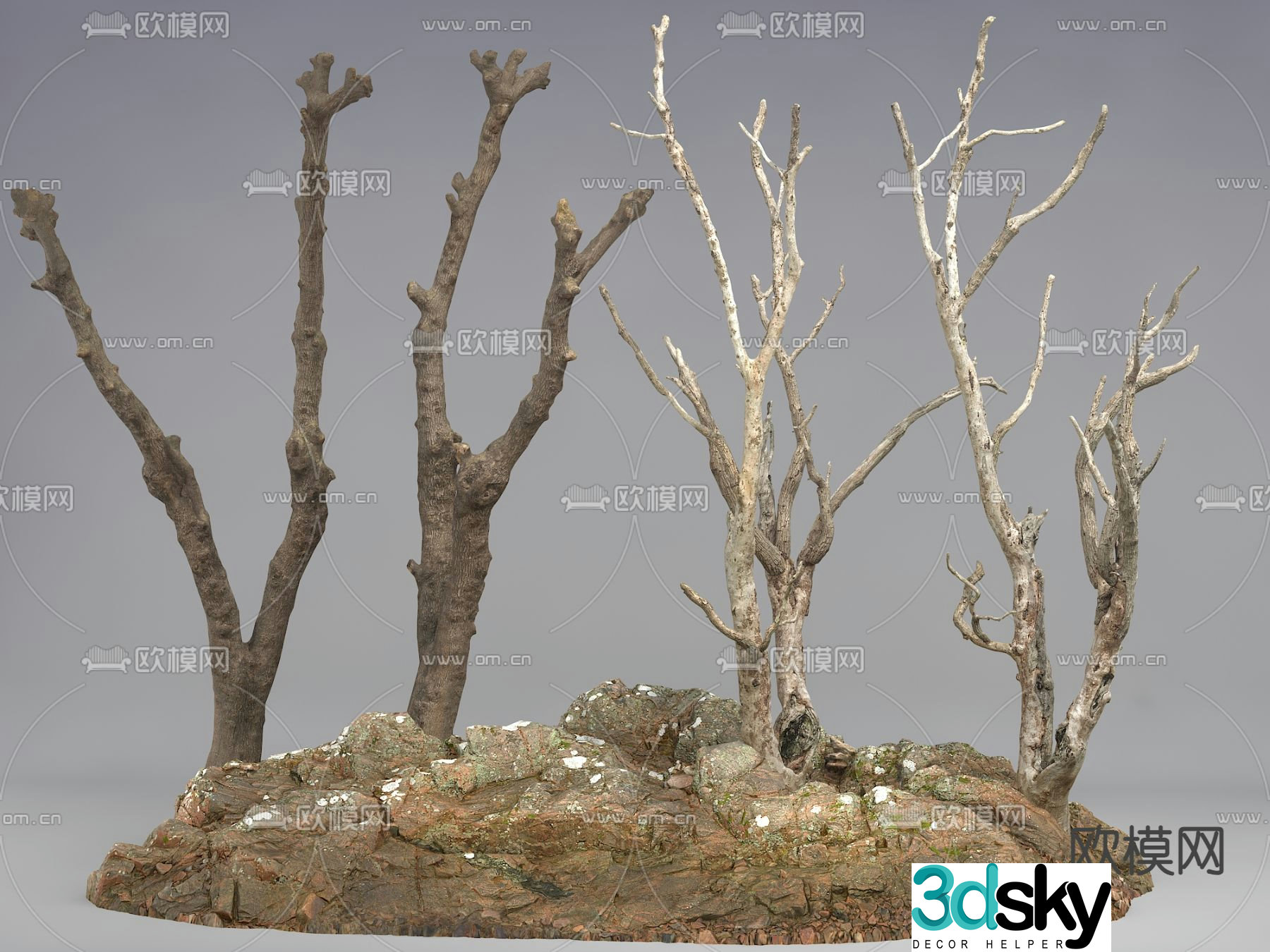 tree trunk dead branch 3d model