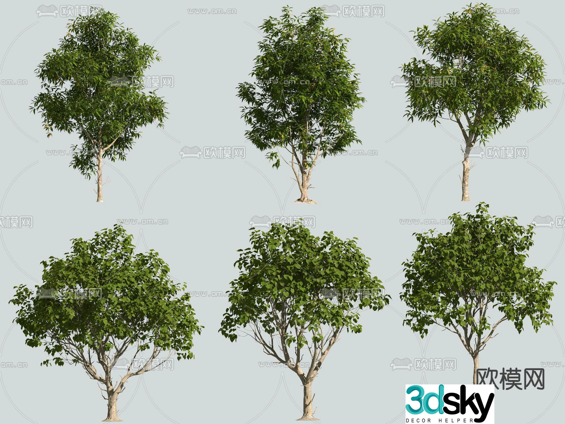 tree landscape tree street tree 3d model