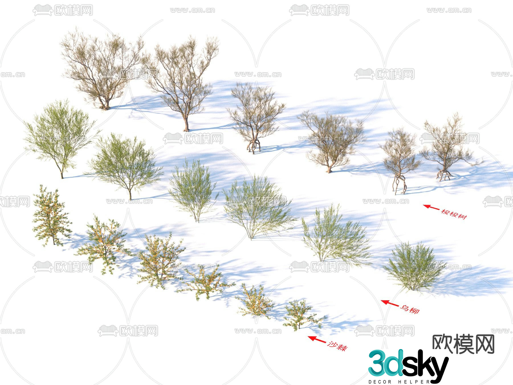 plants landscape trees shrubs 3d model
