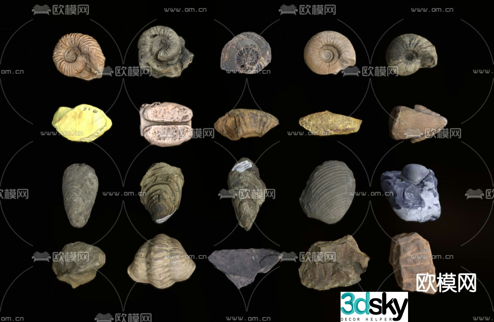 stone conch fossil landscape stone 3d model