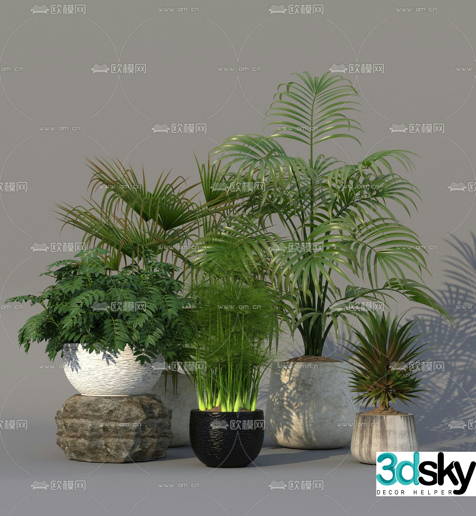 Potted green plants 3d model