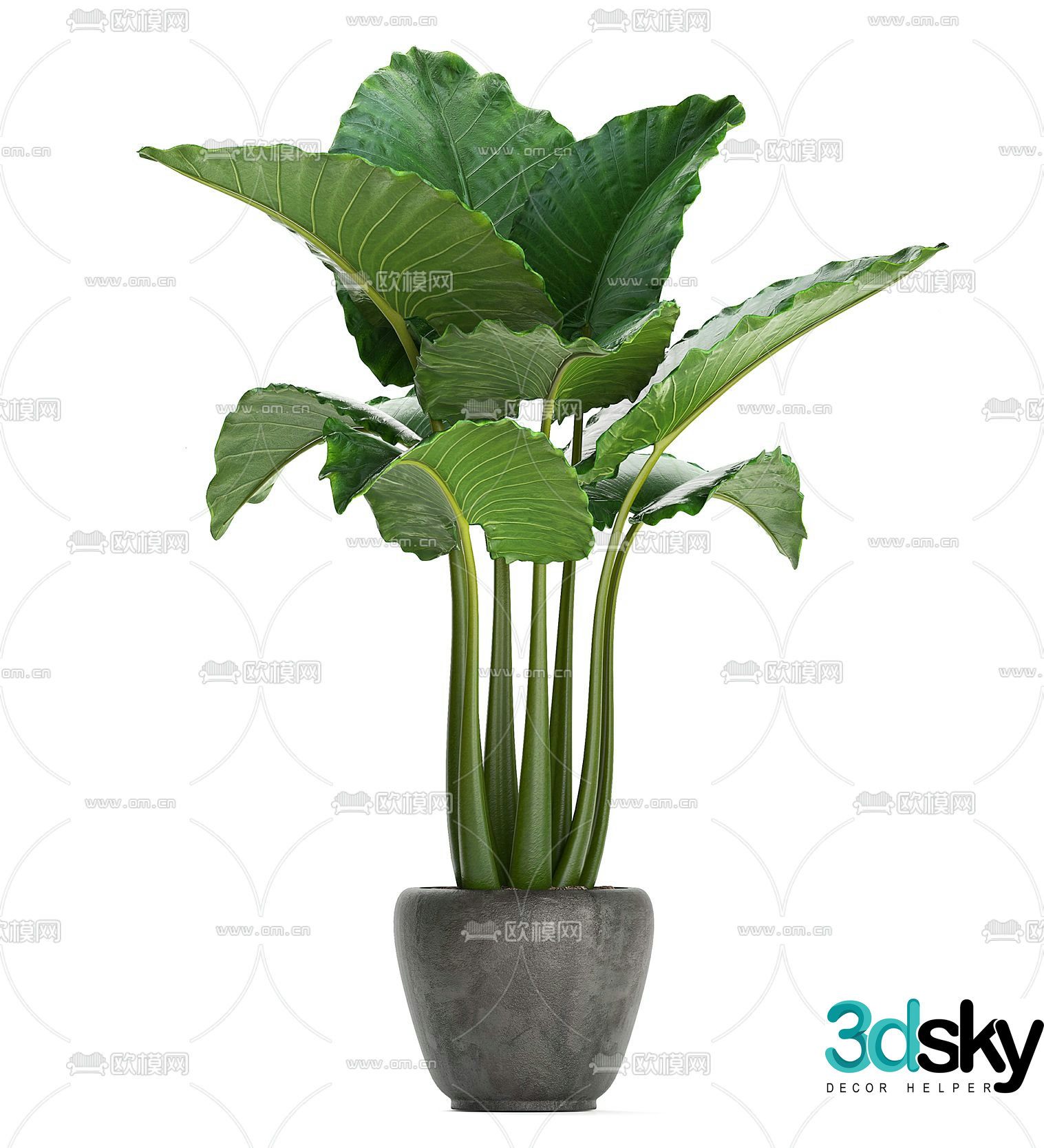 Green plants potted plants 3D model
