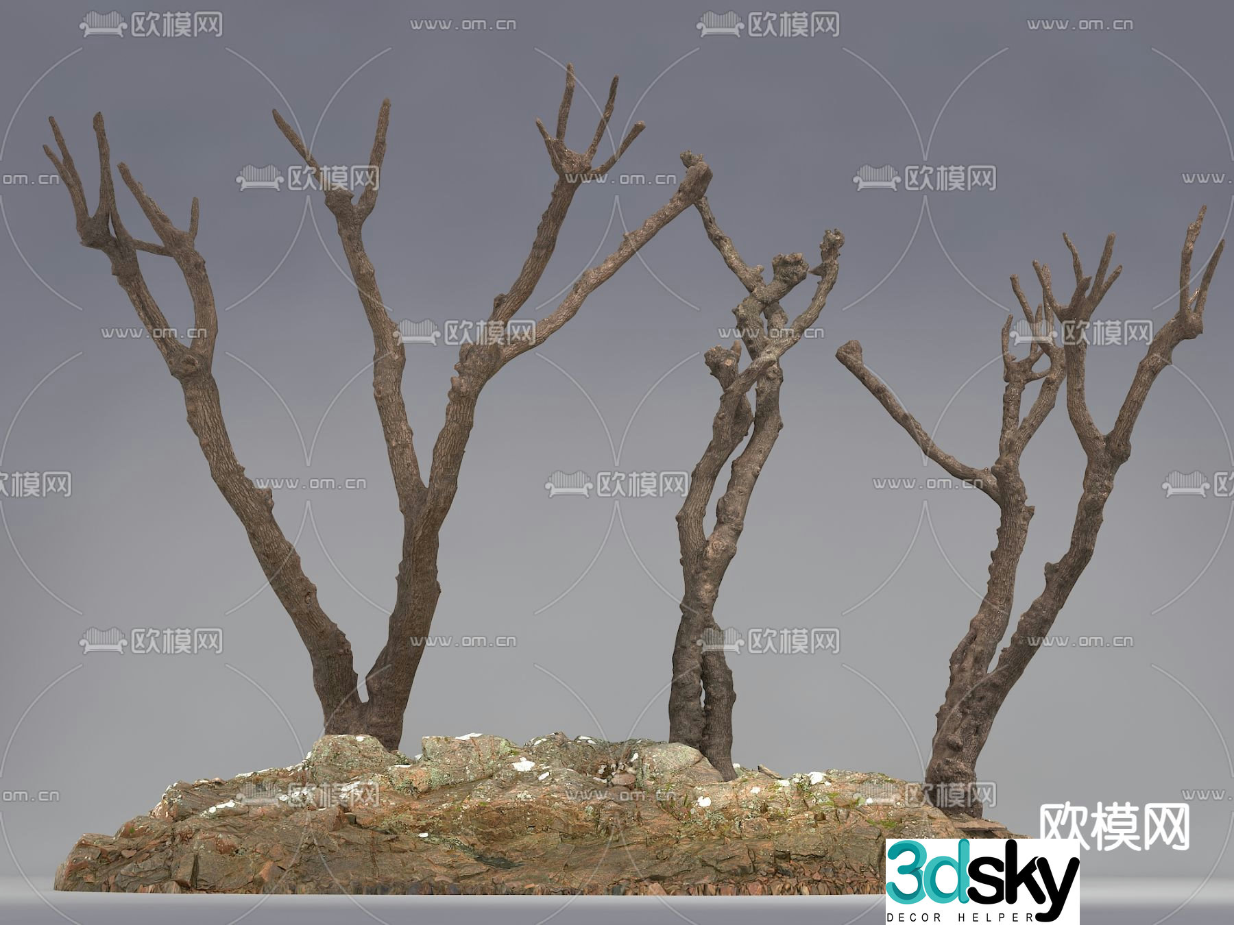 tree trunk dead branch 3d model