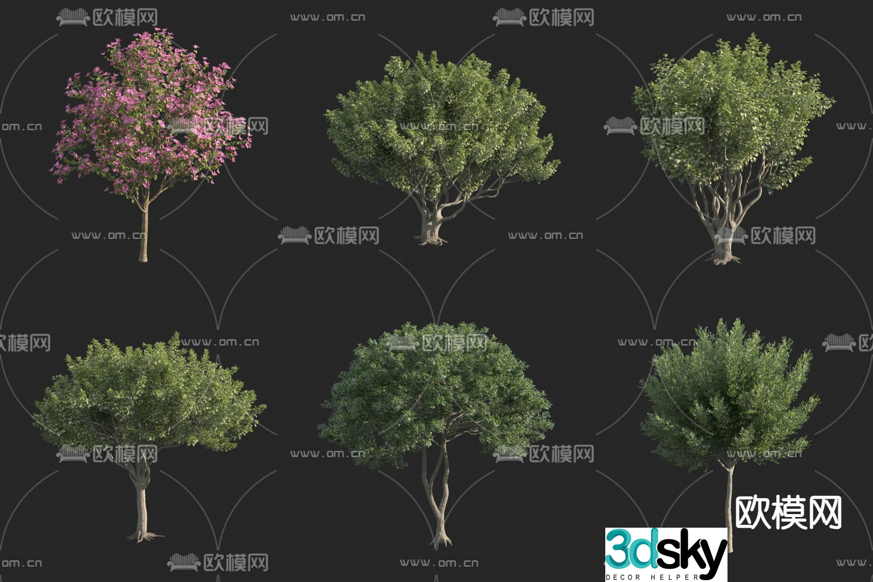 Flower Tree Red Flower Sheep Armor Bauhinia Landscape Tree 3D Model