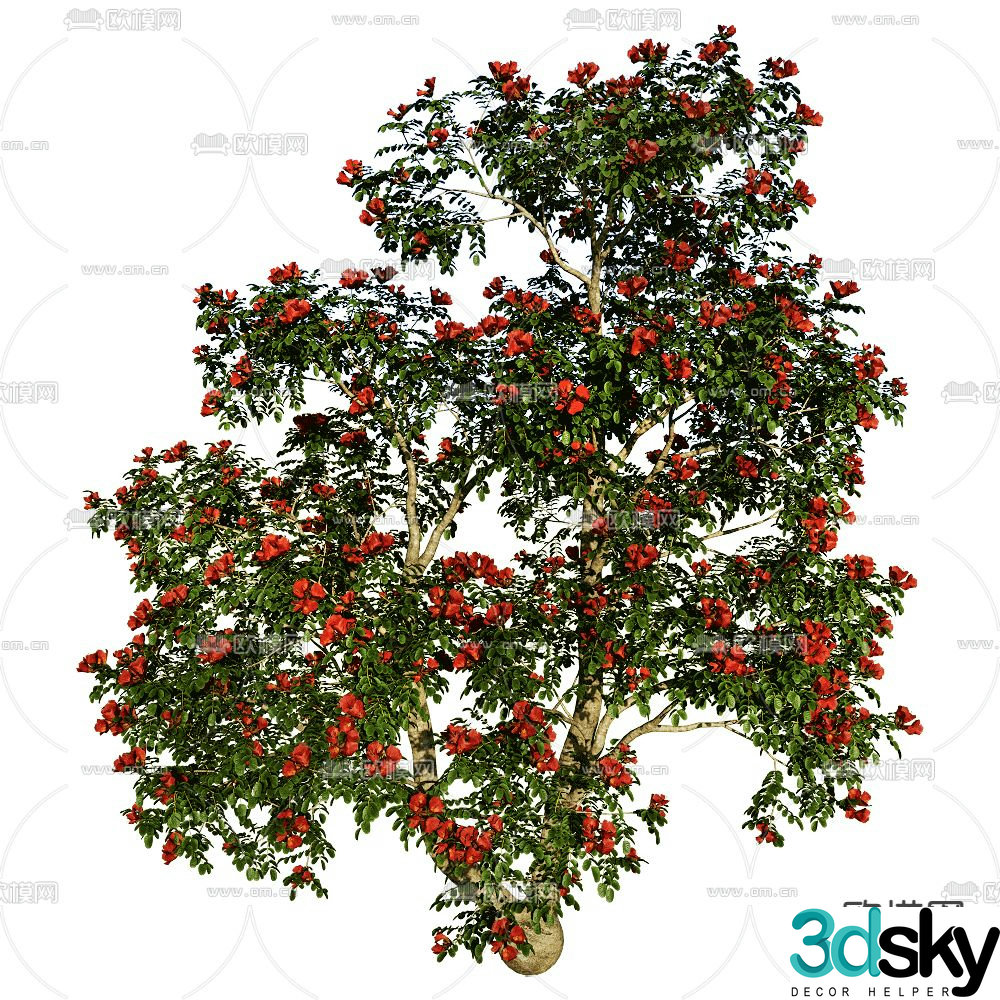 Flower Tree Landscape Tree Ornamental Tree 3D Model