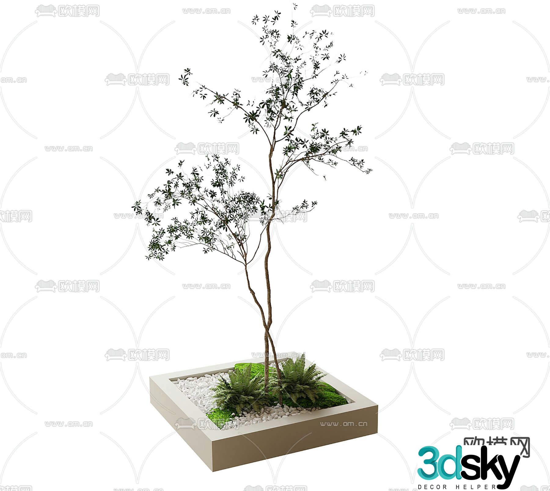 Landscape tree tree pond sapling 3d model