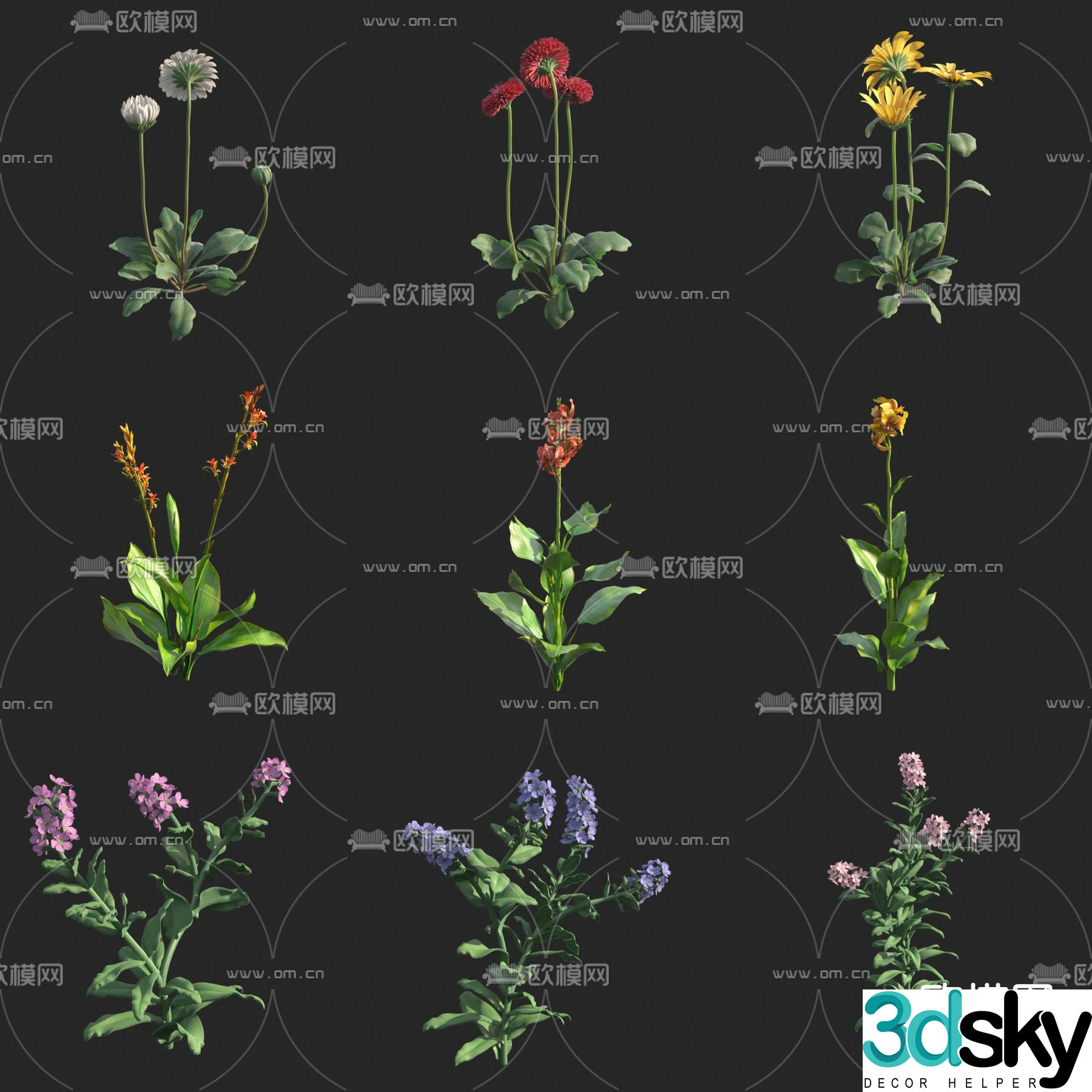 Daisy Forget-Unknown Violet Flowers and Grass 3D Model