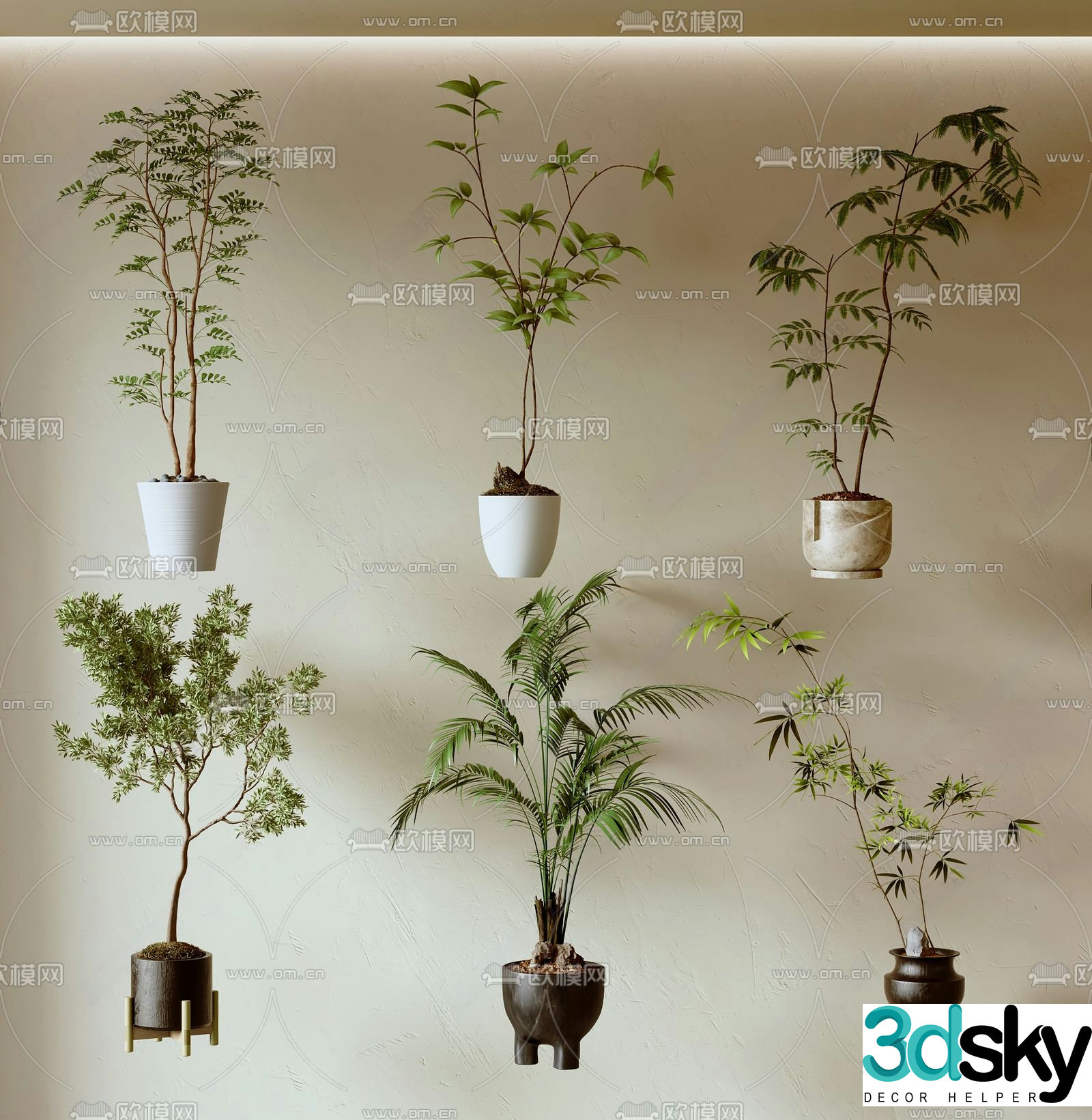 Green plants Potted plants Bonsai 3D model