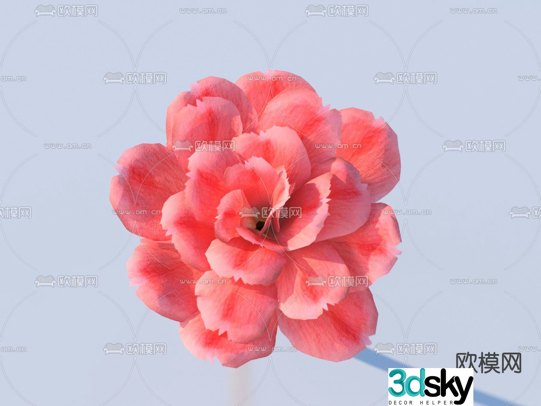 Flowers Wild Flowers 3d Model
