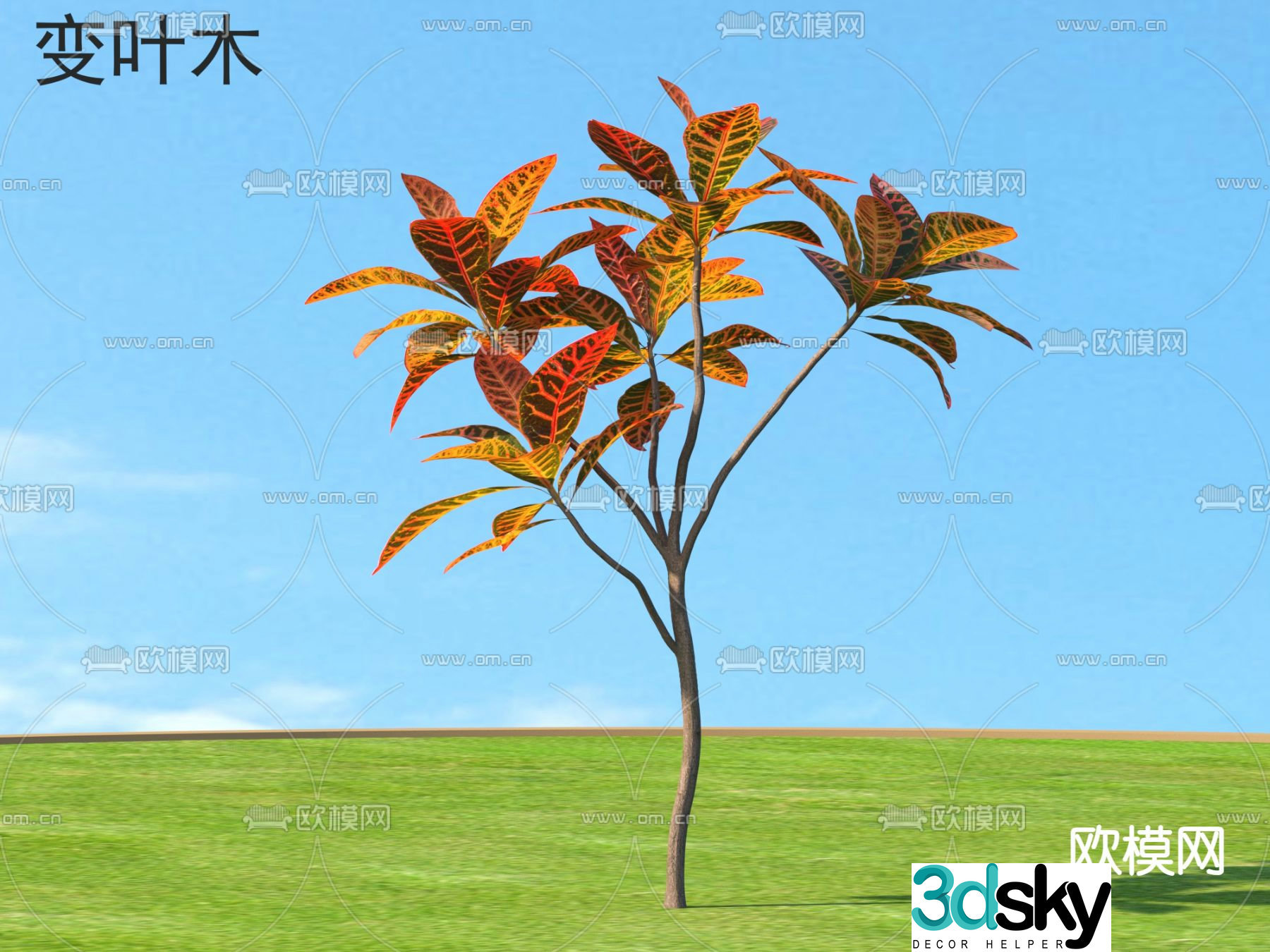 3D model of leaves and trees