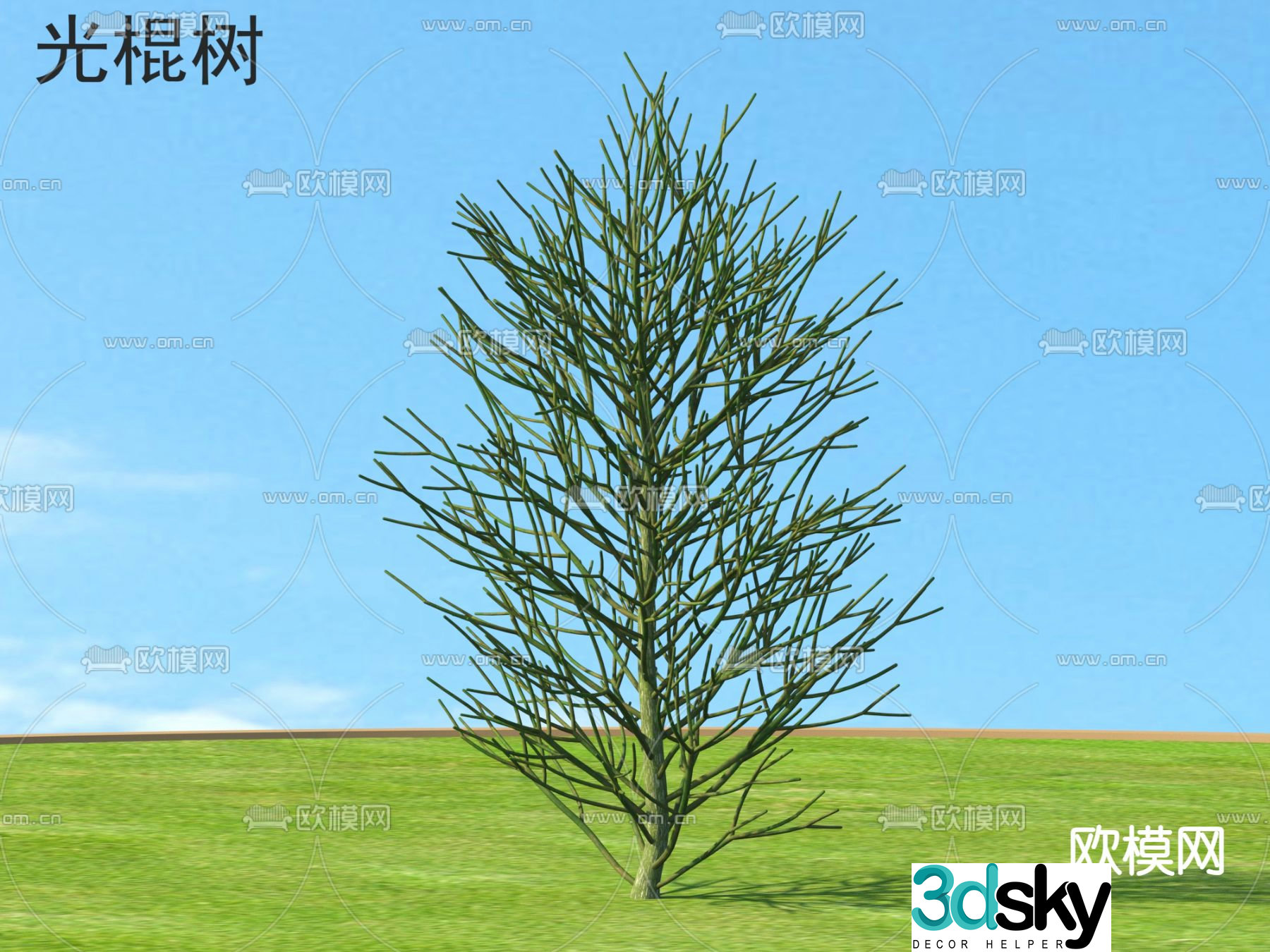 Landscape tree Trees Bachelor tree 3d model