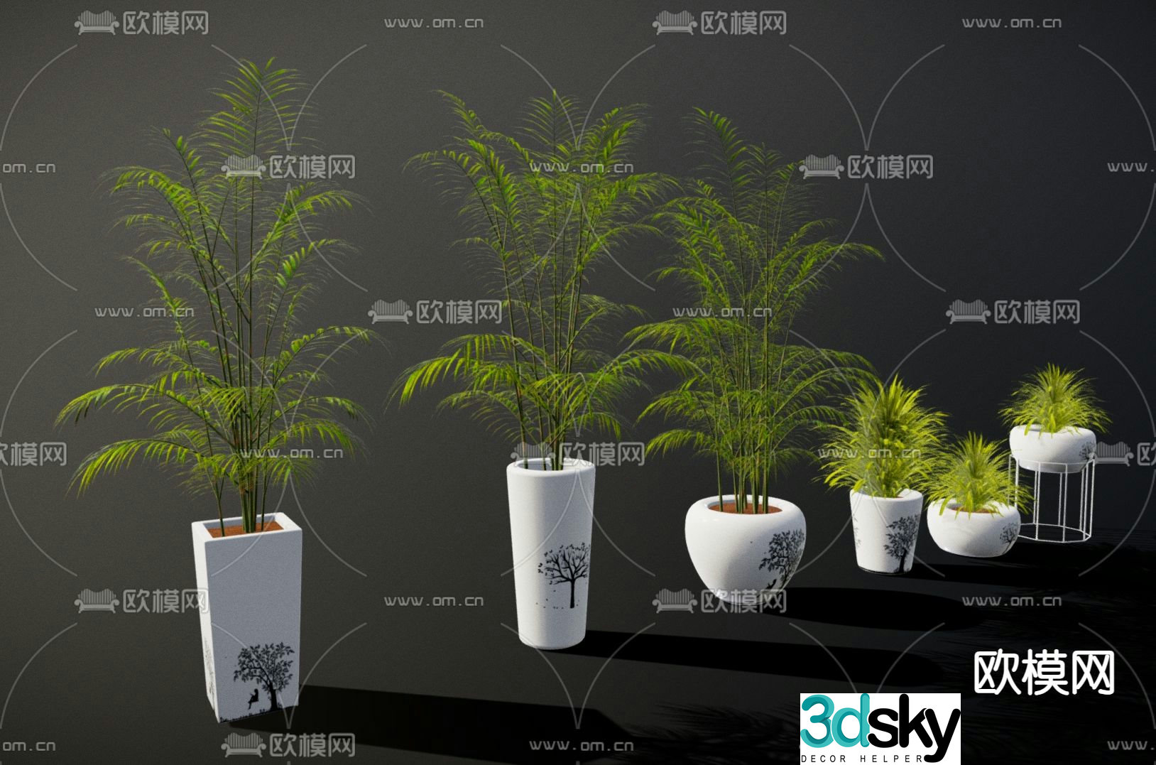 Green plants Potted plants Bonsai 3D model