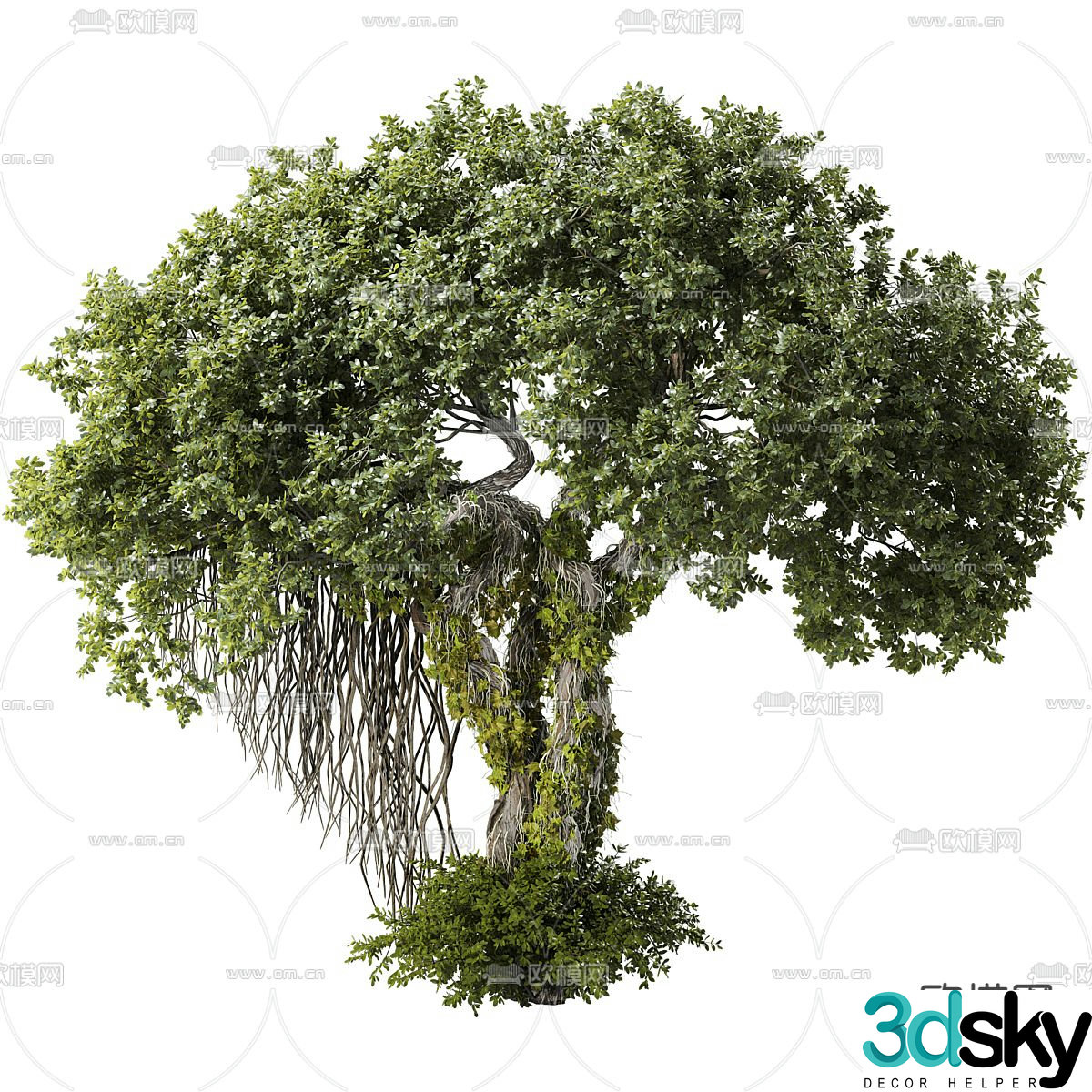 Landscape tree ancient tree 3d model