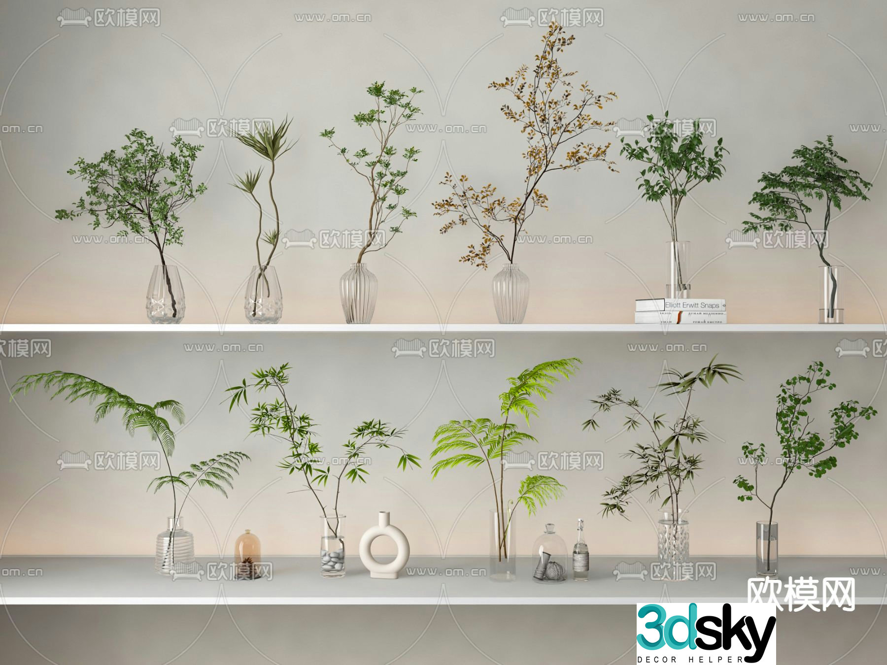 Aquatic plants hydroponic green plants 3d model
