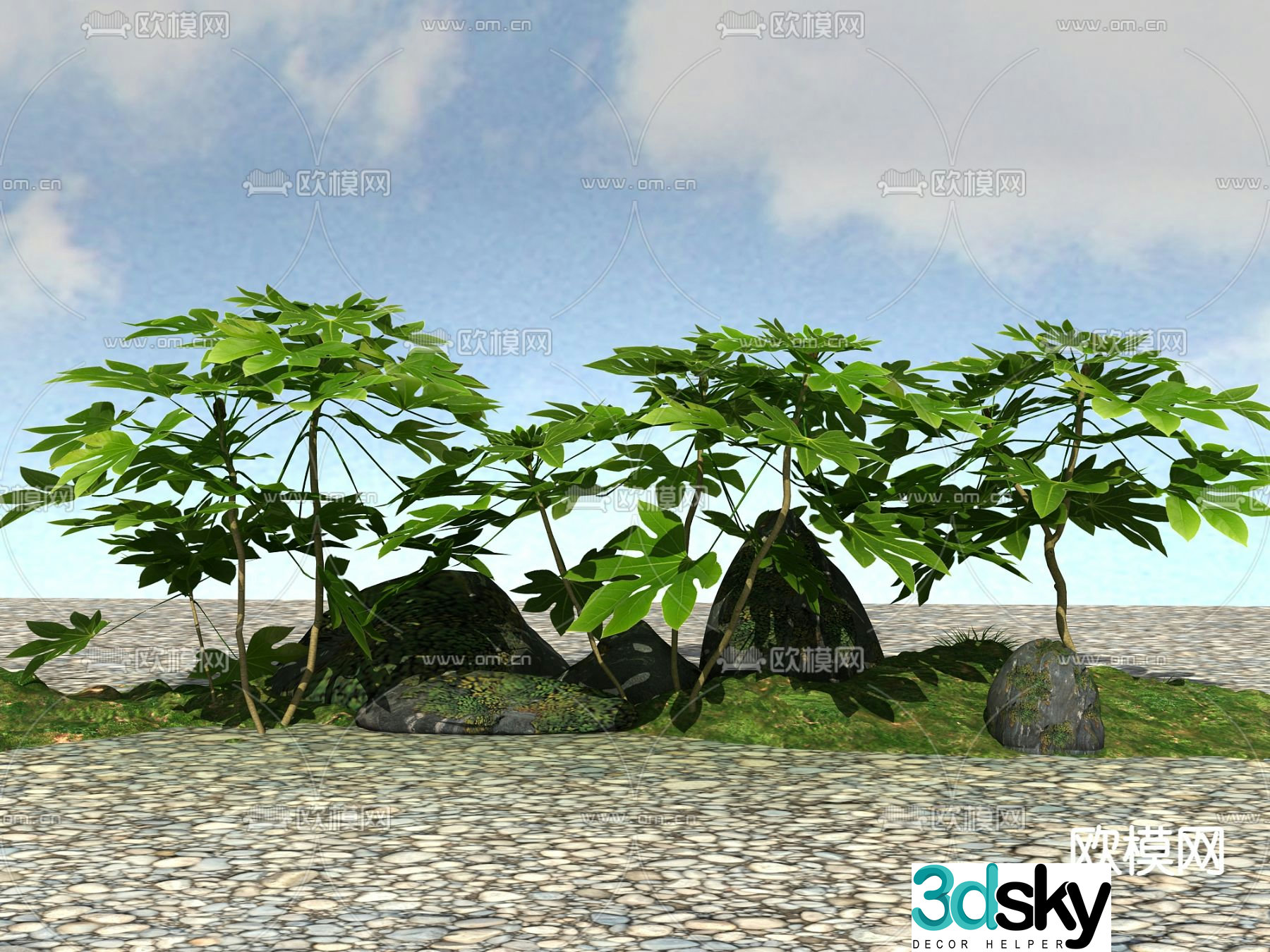 Fig Tree 3D Model