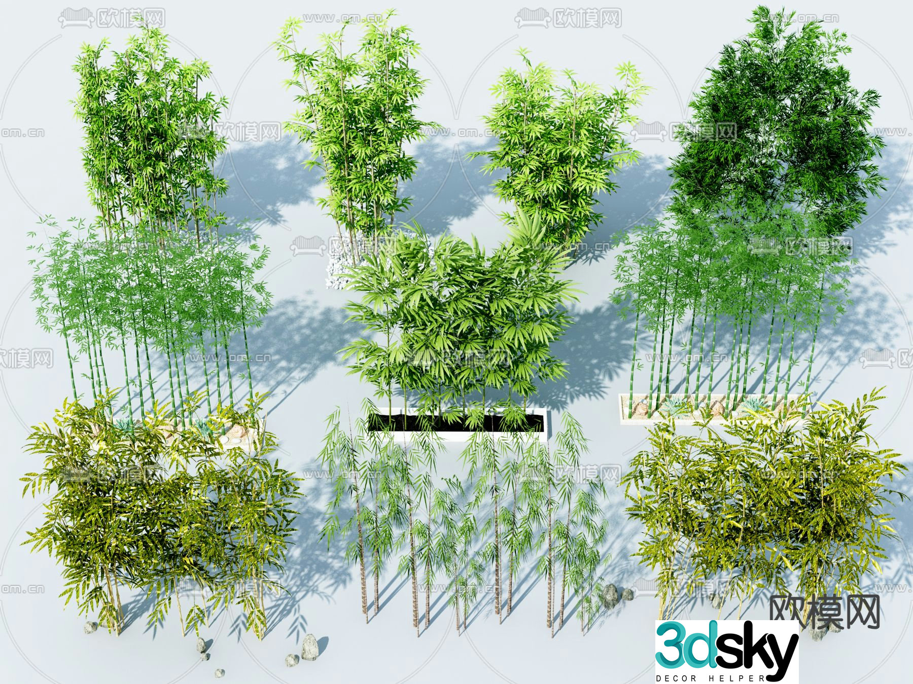Bamboo 3d model