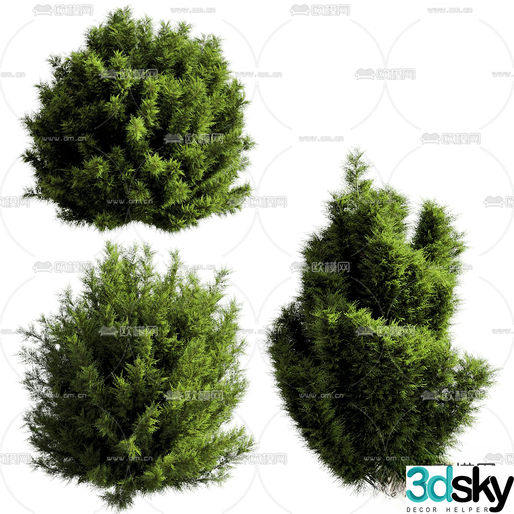 Styling shrubs and hedges 3d model