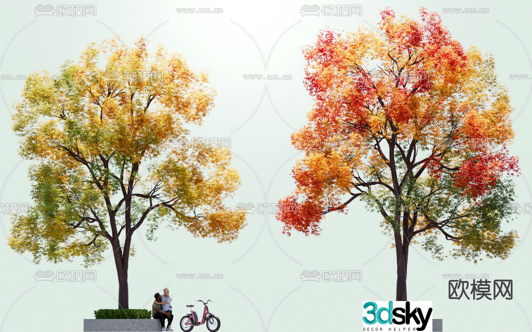 tallow tree large tree deciduous tree colorful tree 3d model