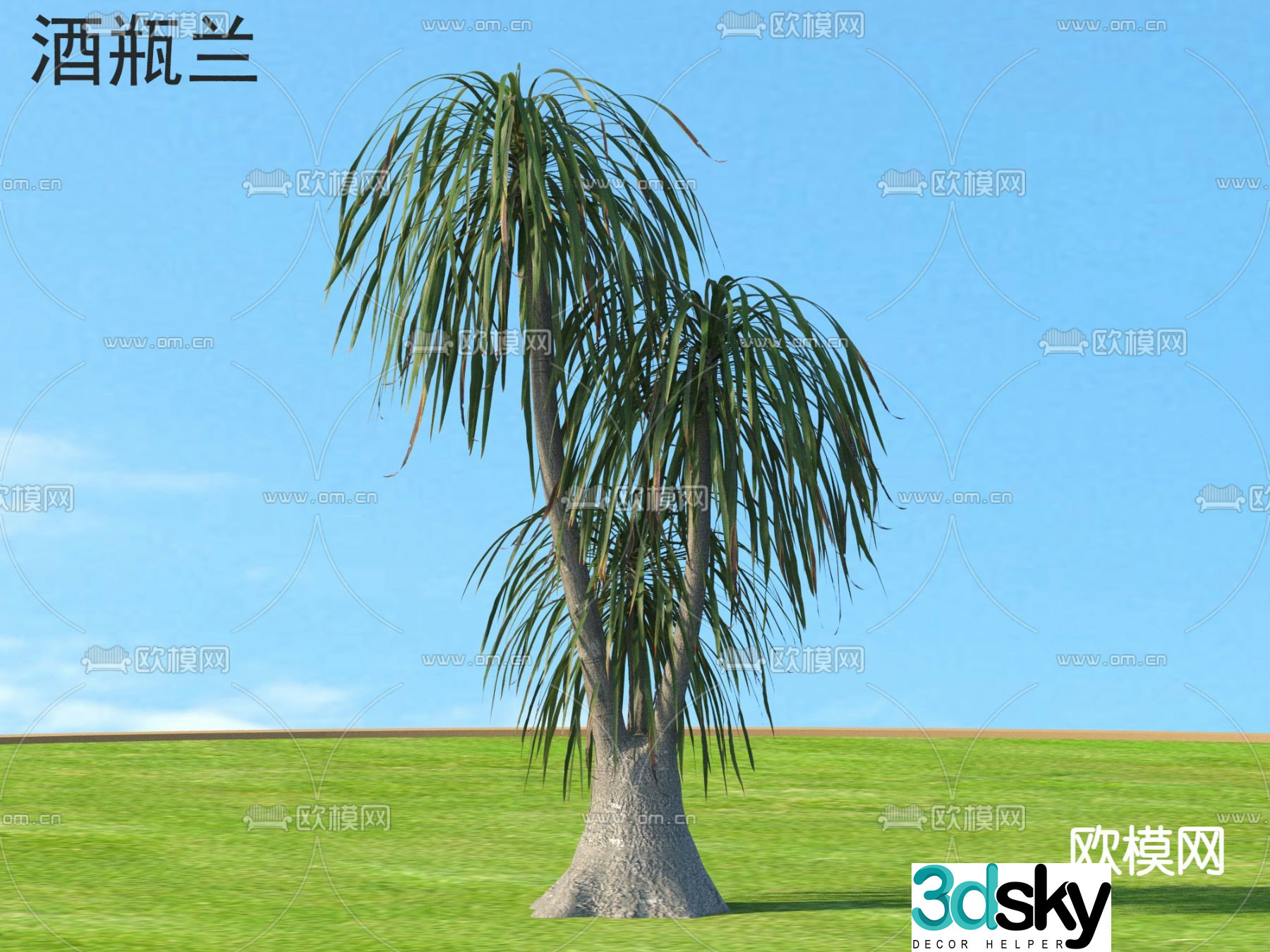 Wine bottle orchid small tree tree 3d model