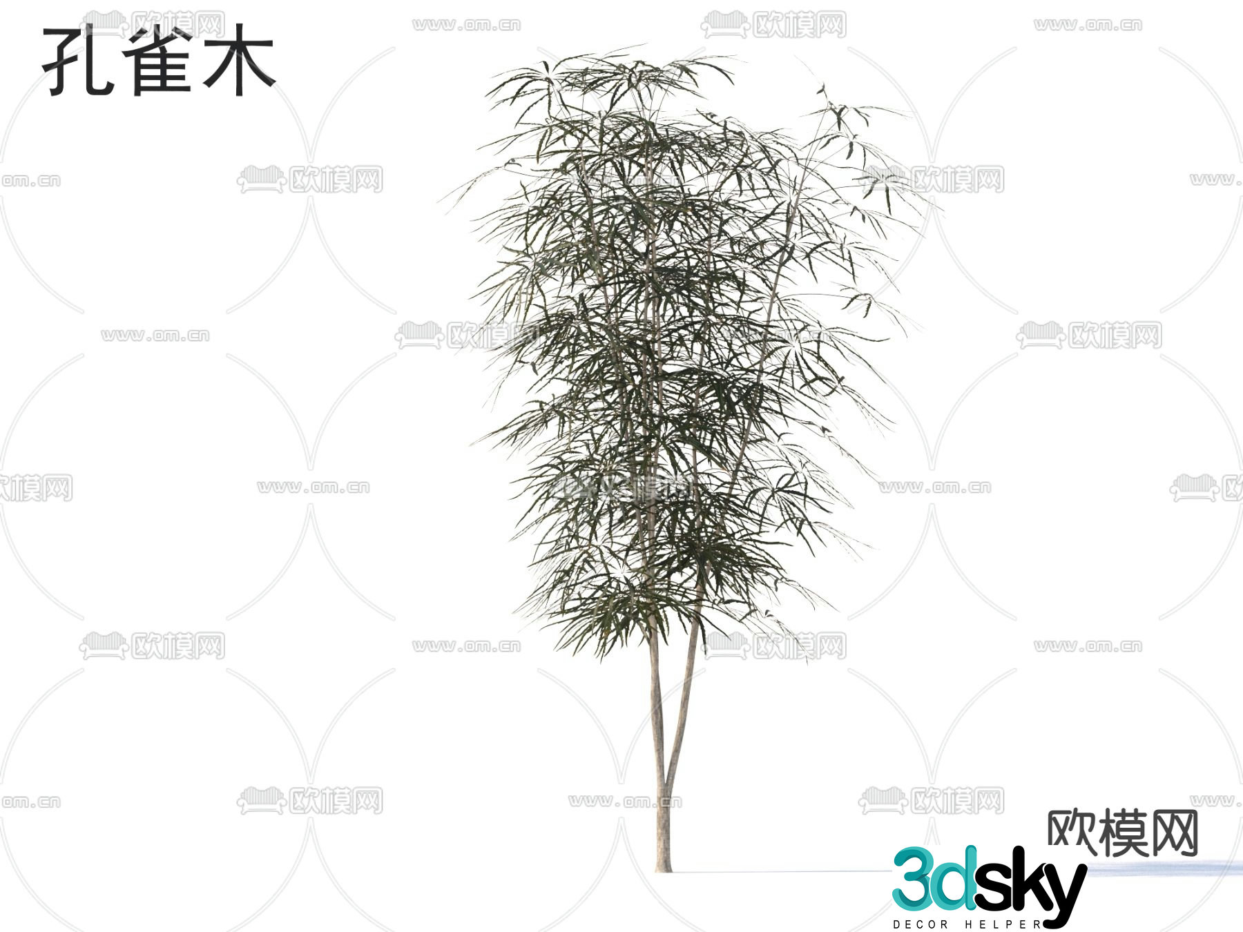 Peacock Wood Small Tree Tree 3D Model