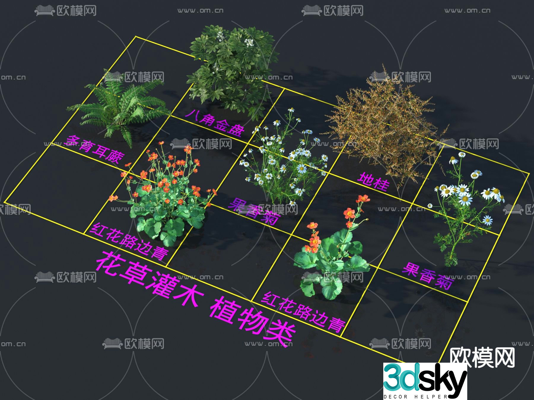 Star anise golden plate cinnamon multi-eared fern fruity chrysanthemum red flower roadside green shrub flowers and plants 3D model