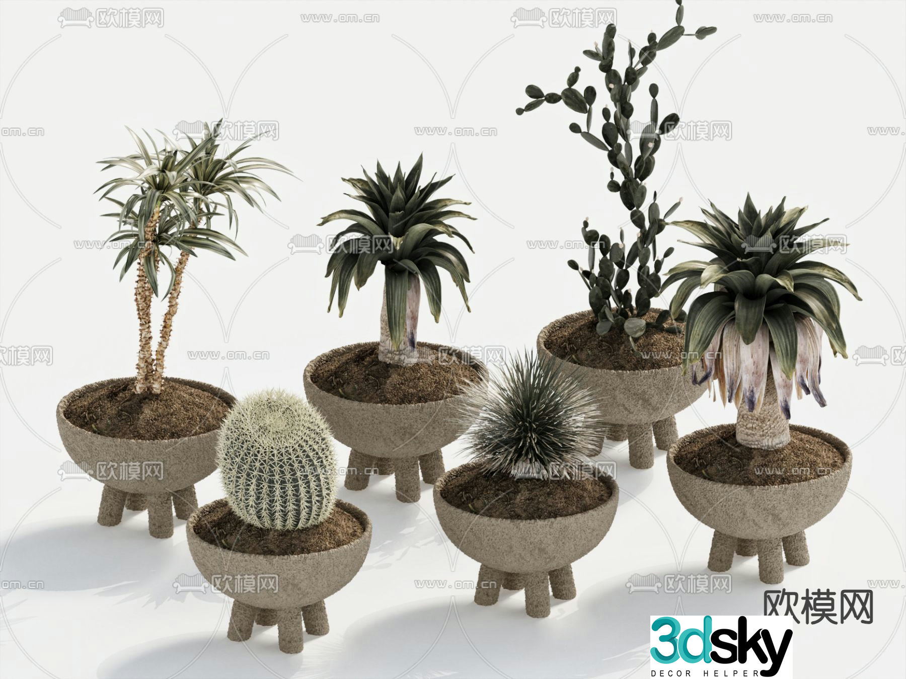 Potted plants Bonsai Cactus 3D model