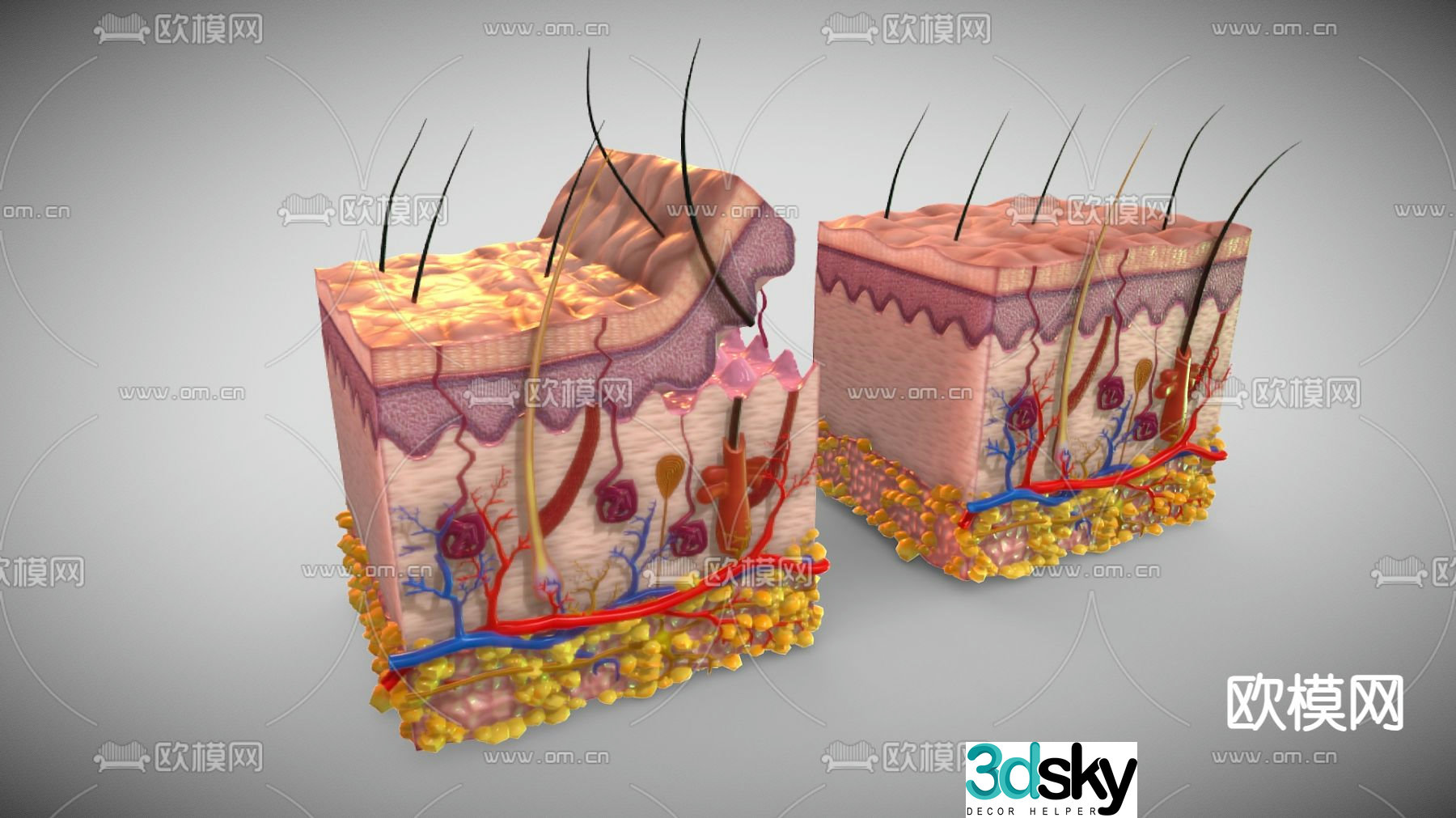 Medical equipment subcutaneous tissue medical materials 3d model